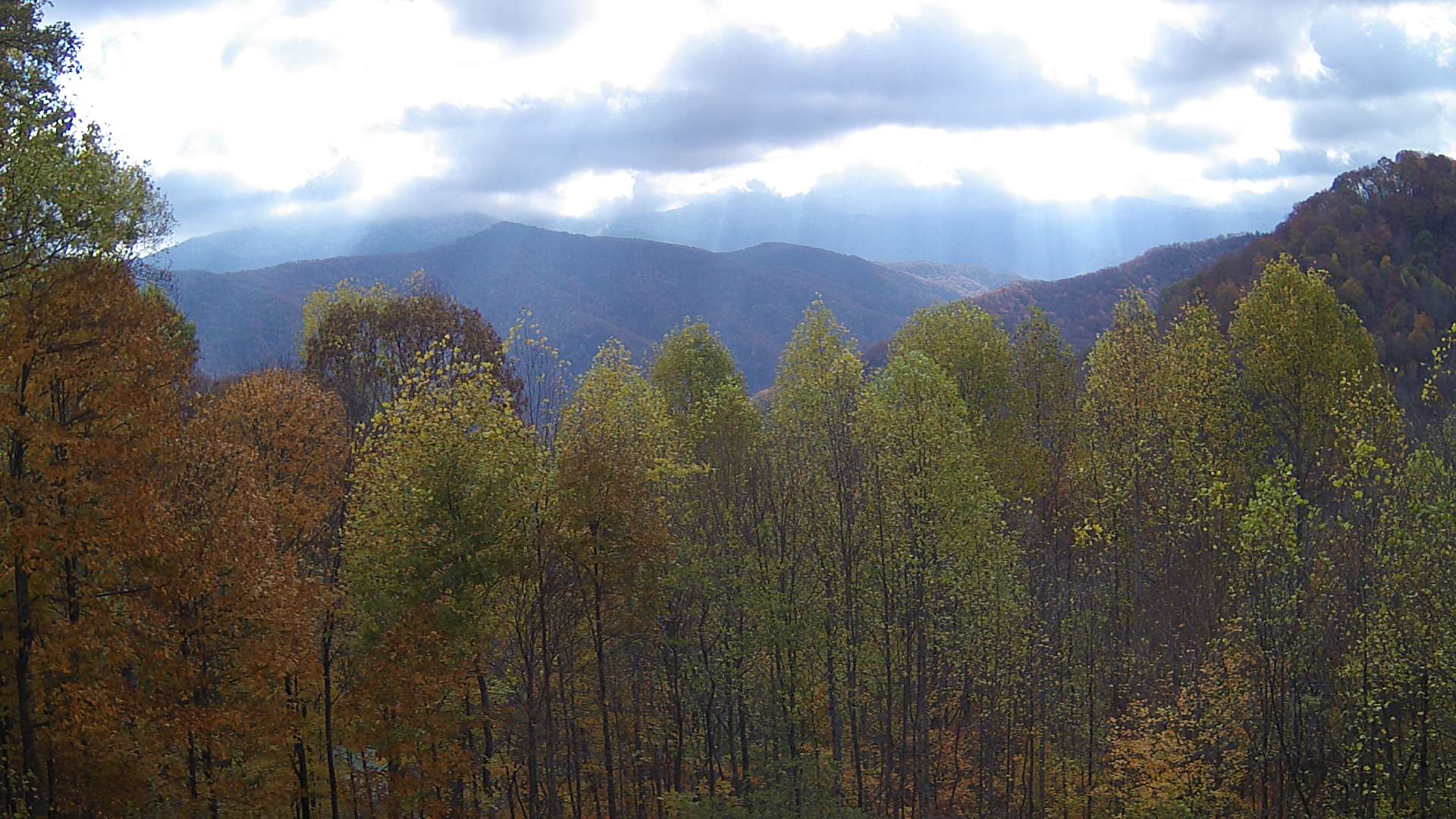 click for next image... slideshow image