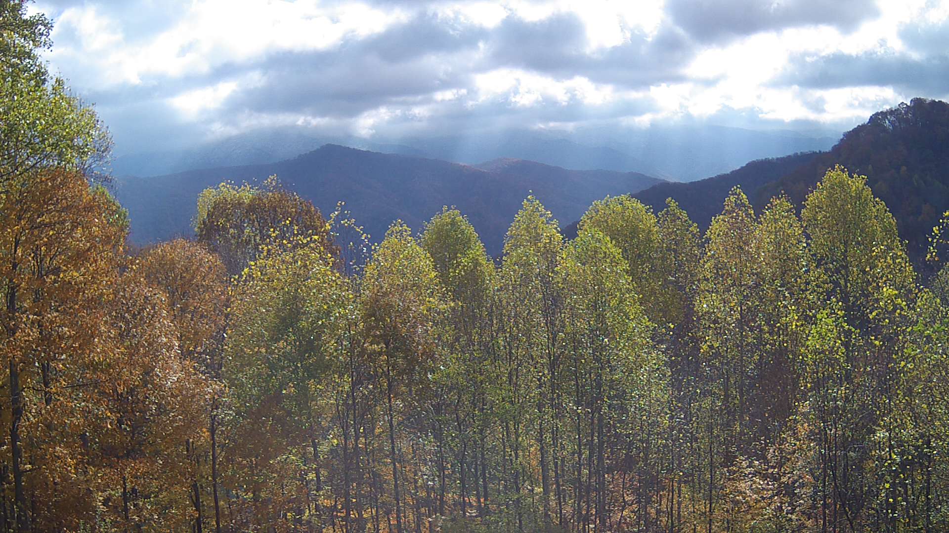 click for next image... slideshow image