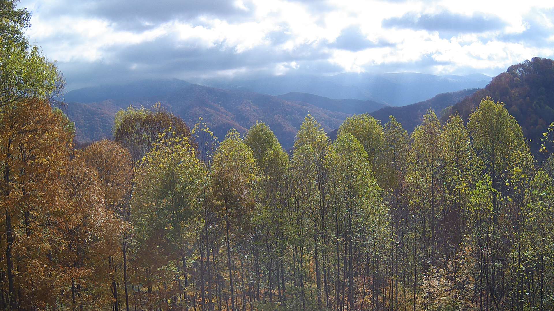 click for next image... slideshow image