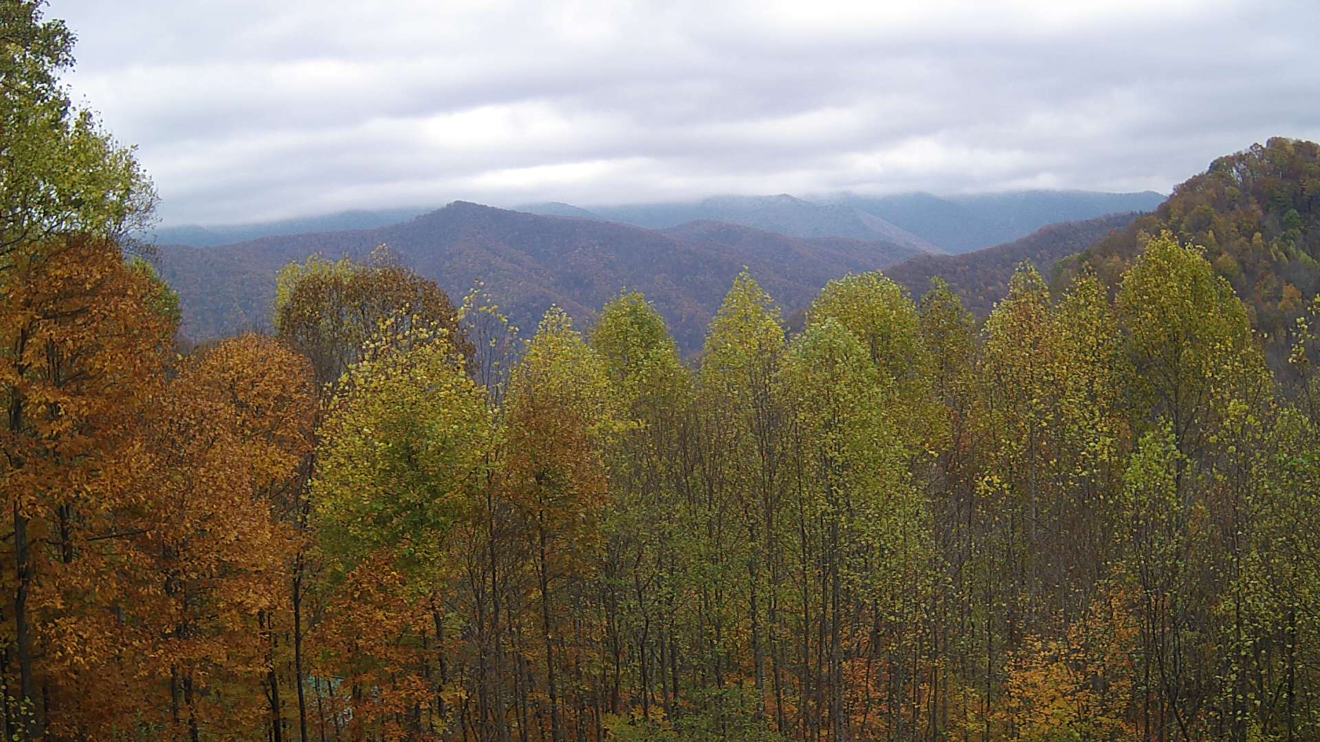 click for next image... slideshow image