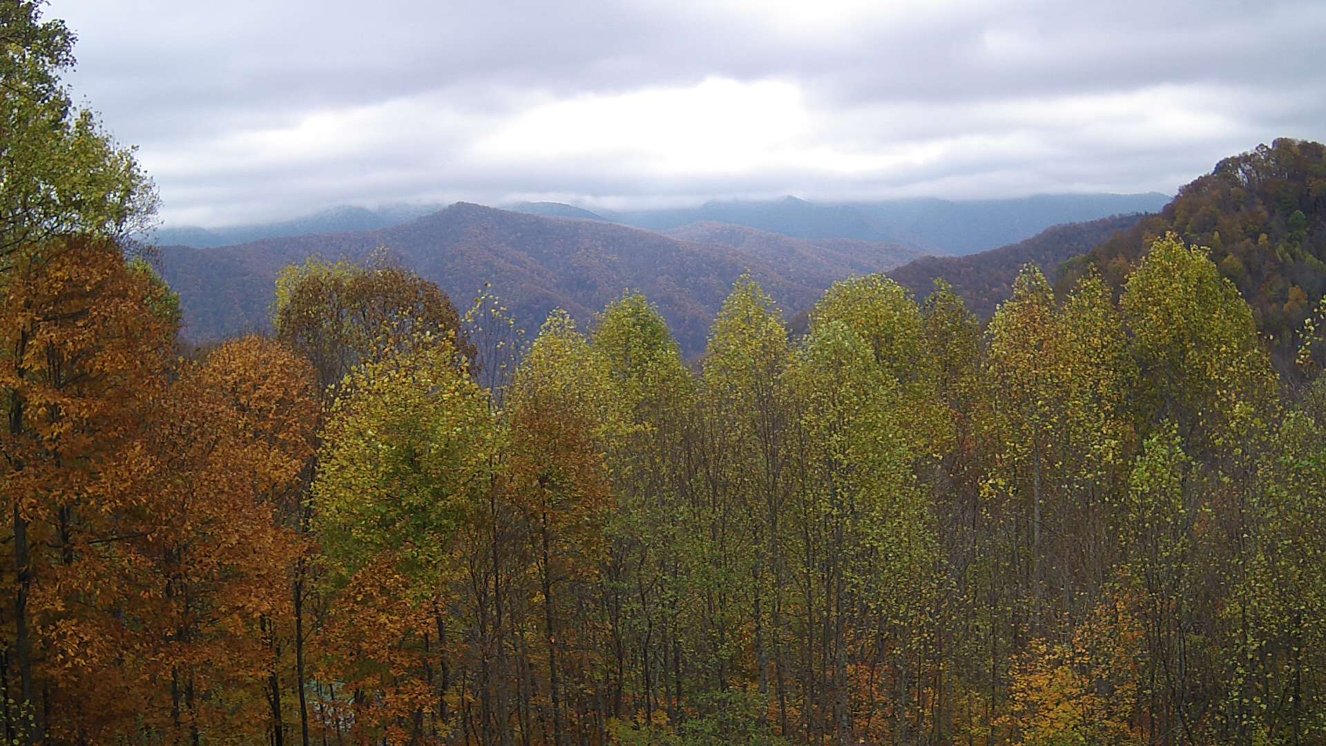 click for next image... slideshow image