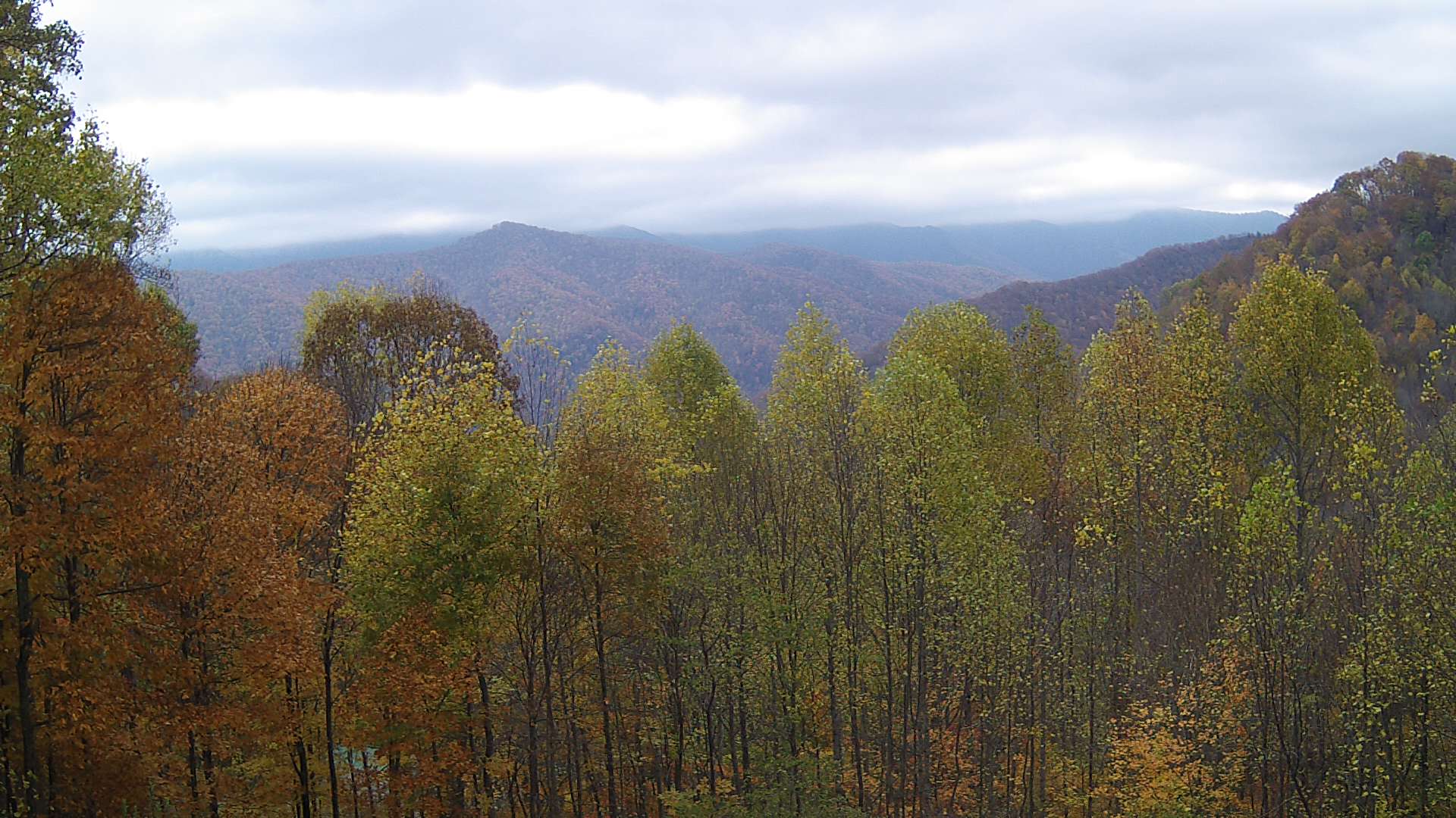 click for next image... slideshow image