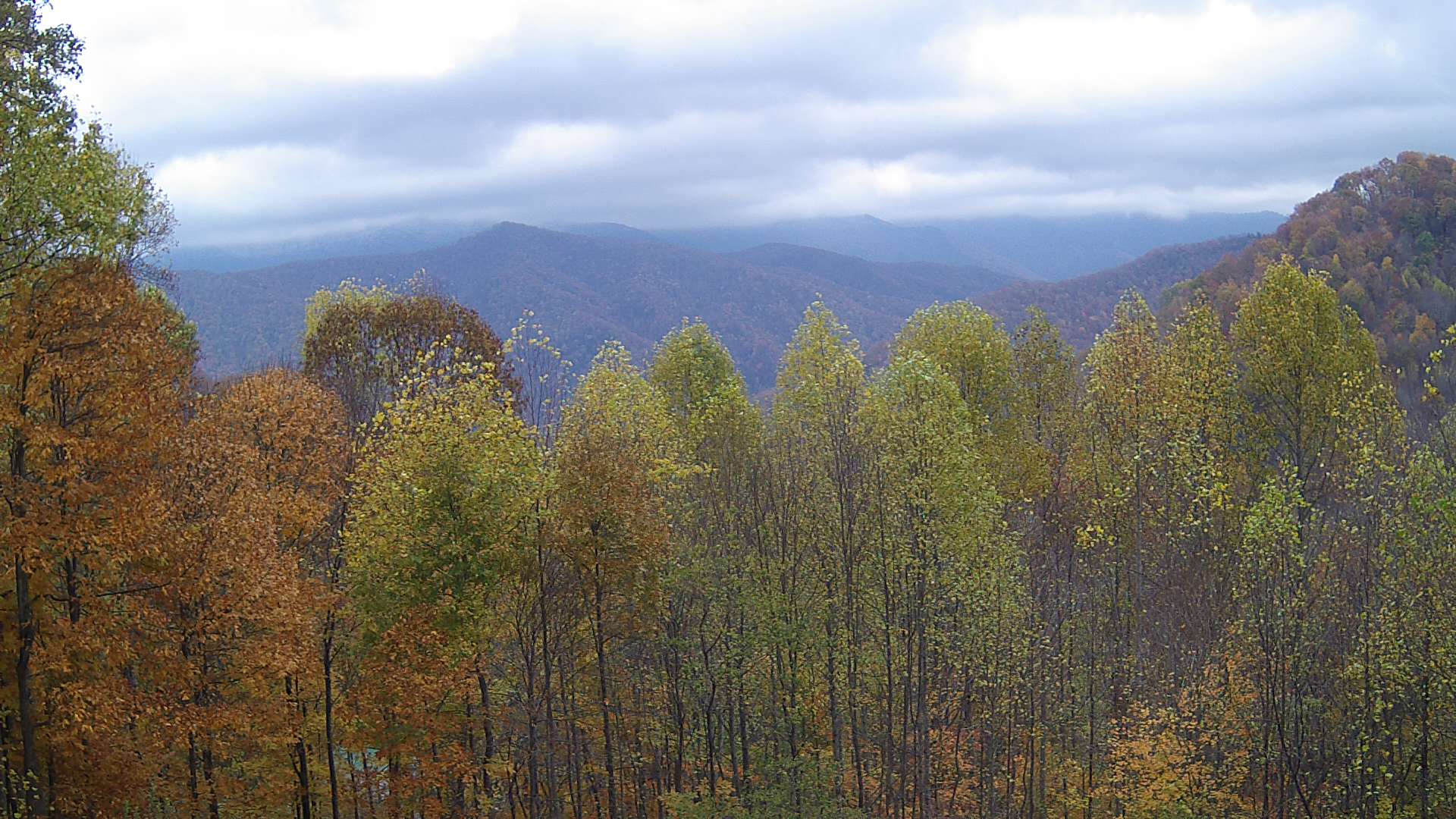 click for next image... slideshow image