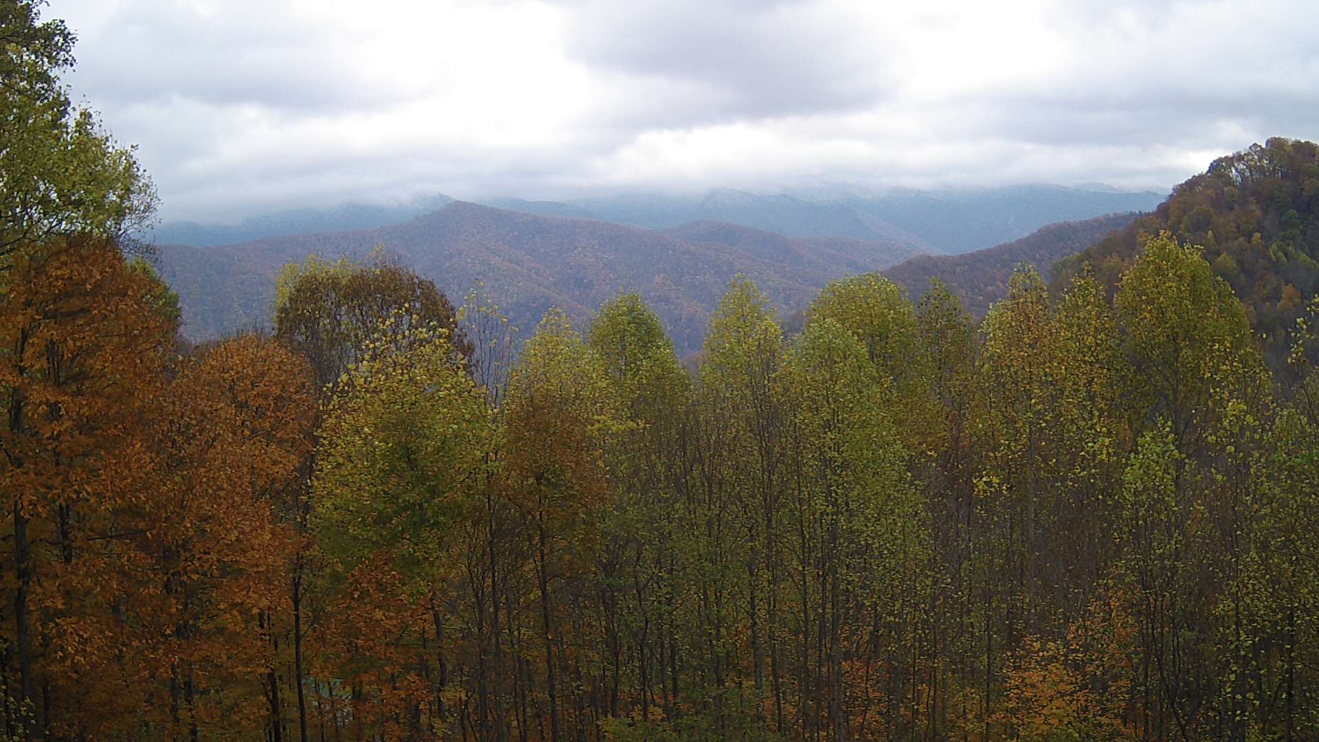 click for next image... slideshow image