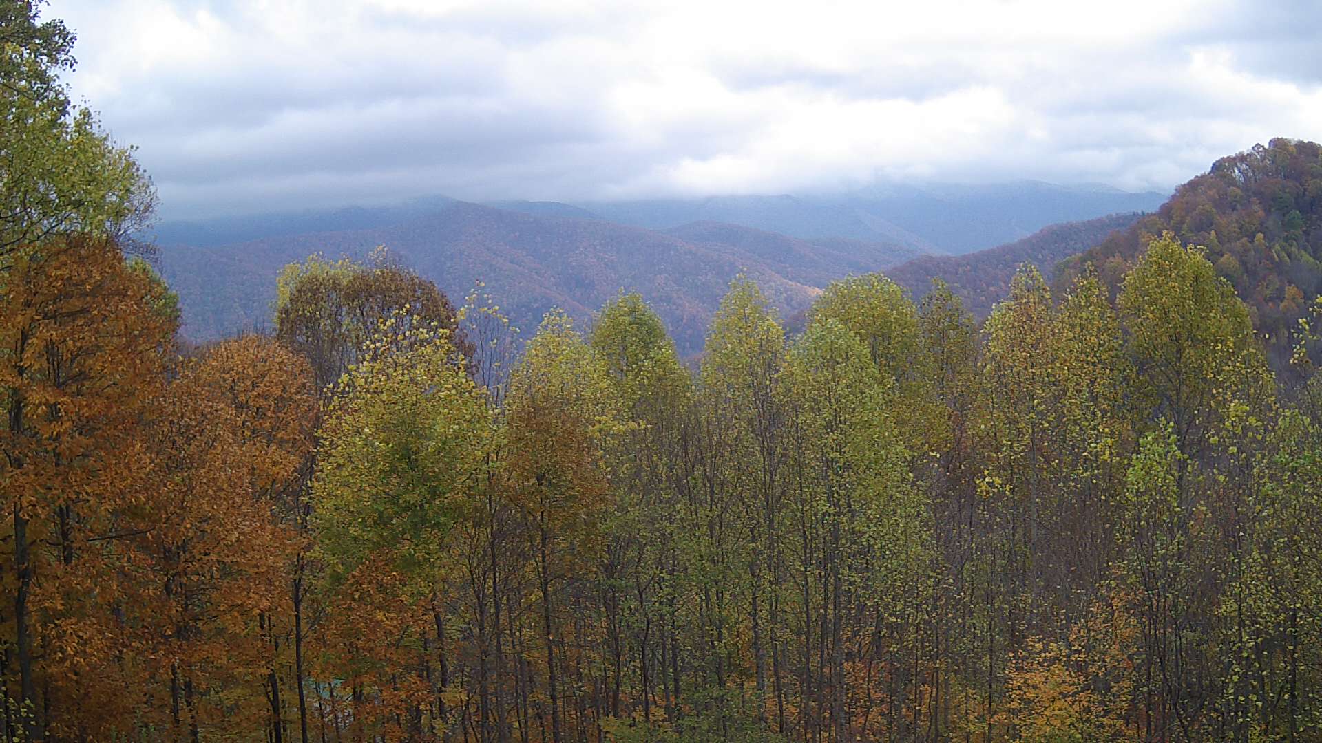 click for next image... slideshow image