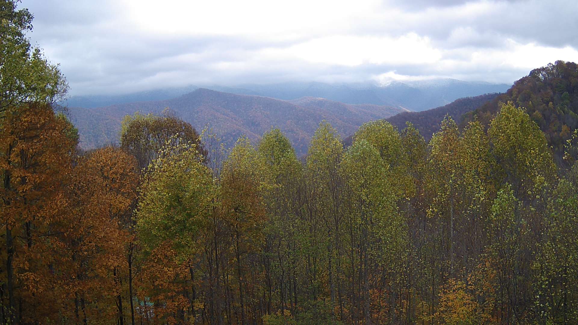 click for next image... slideshow image