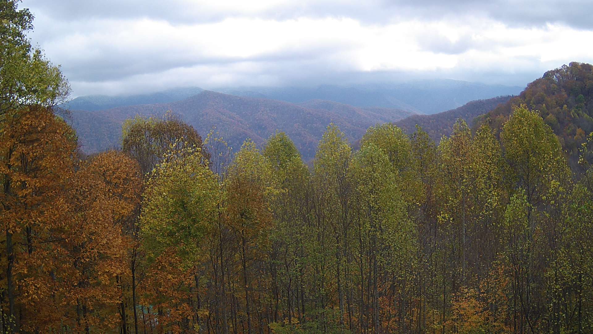 click for next image... slideshow image