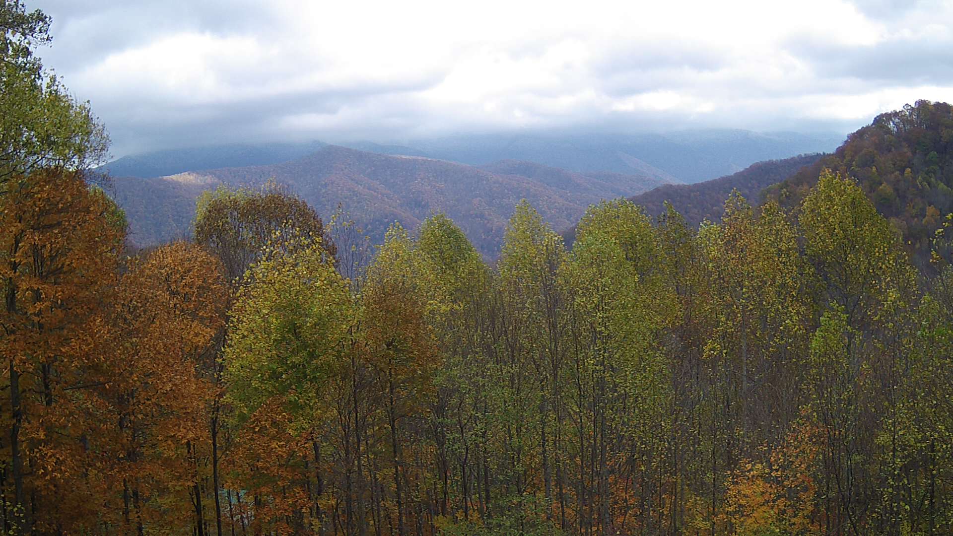 click for next image... slideshow image