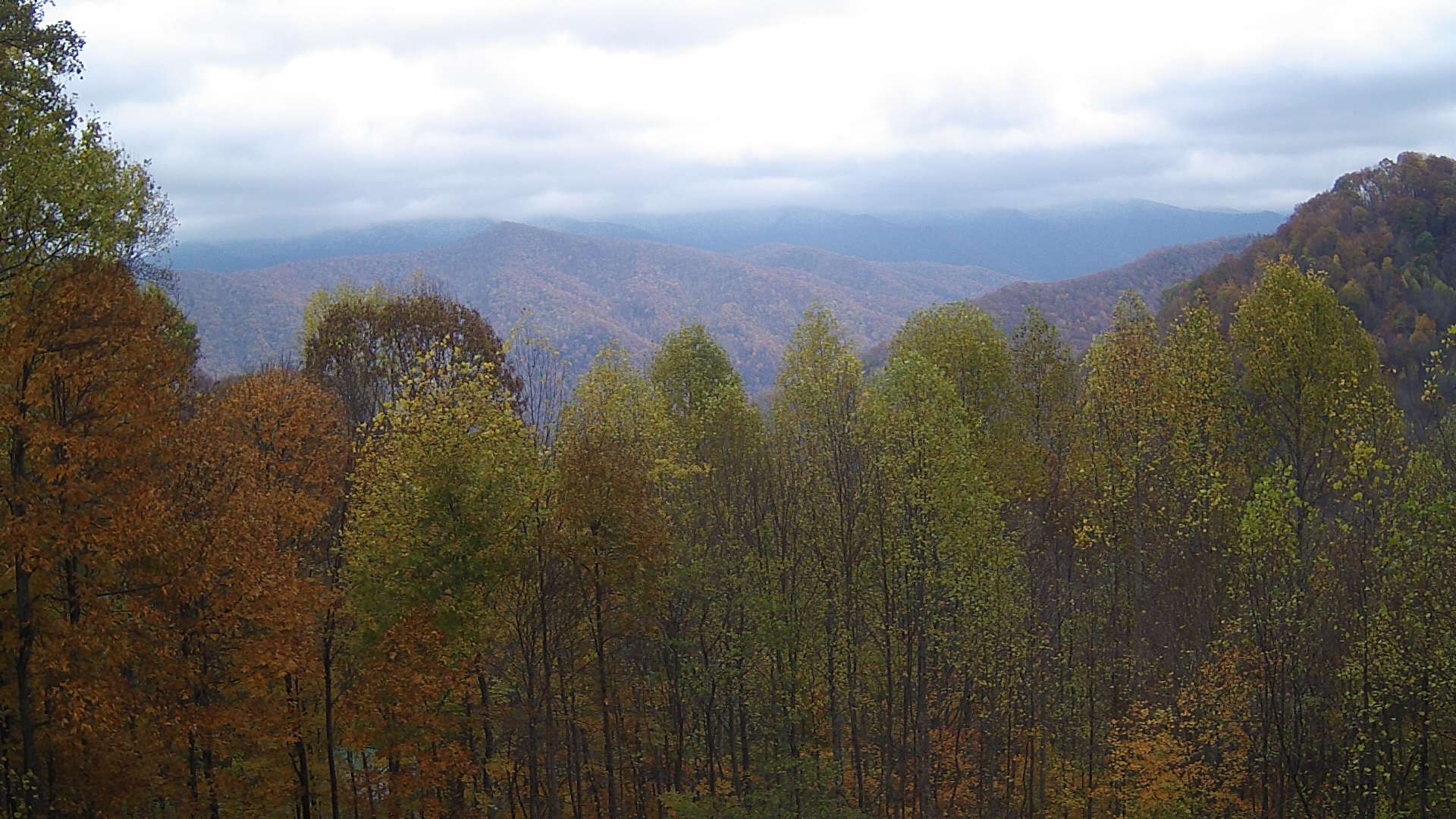 click for next image... slideshow image