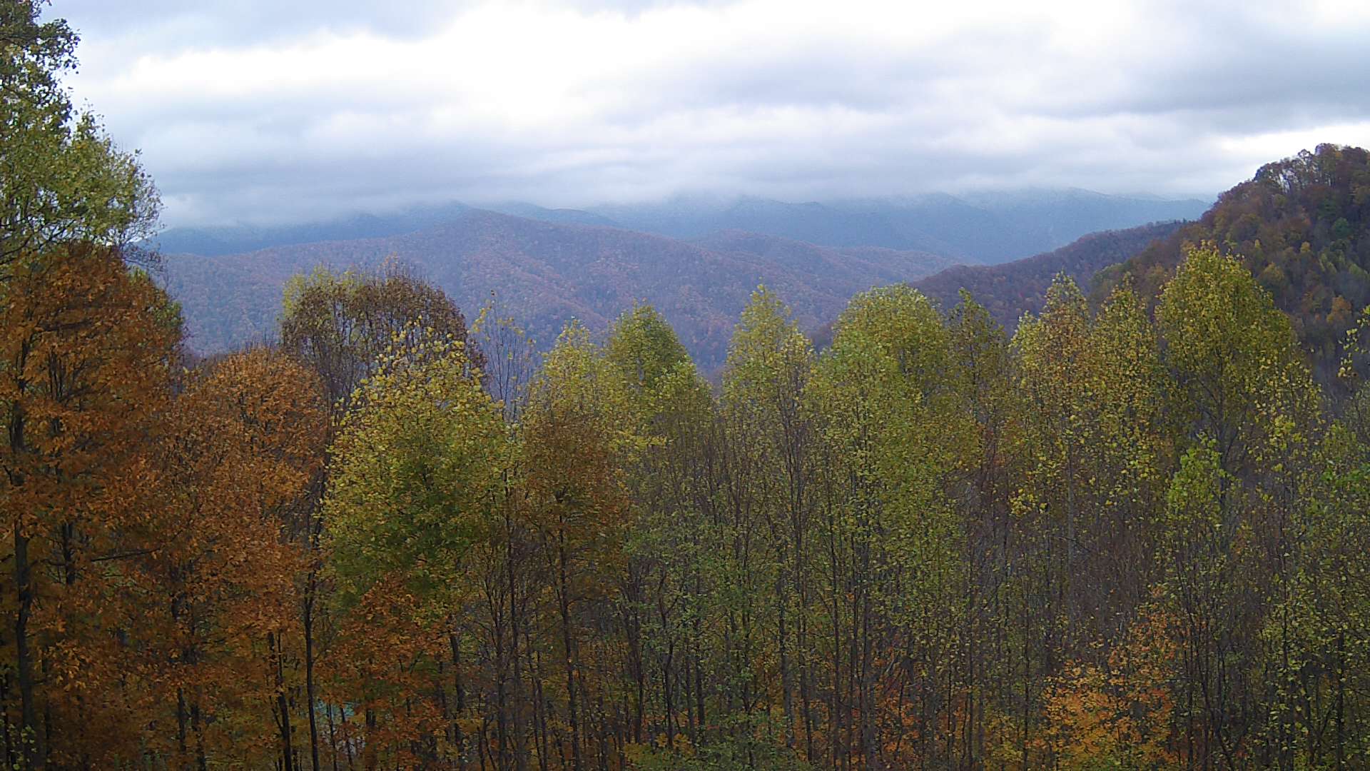 click for next image... slideshow image