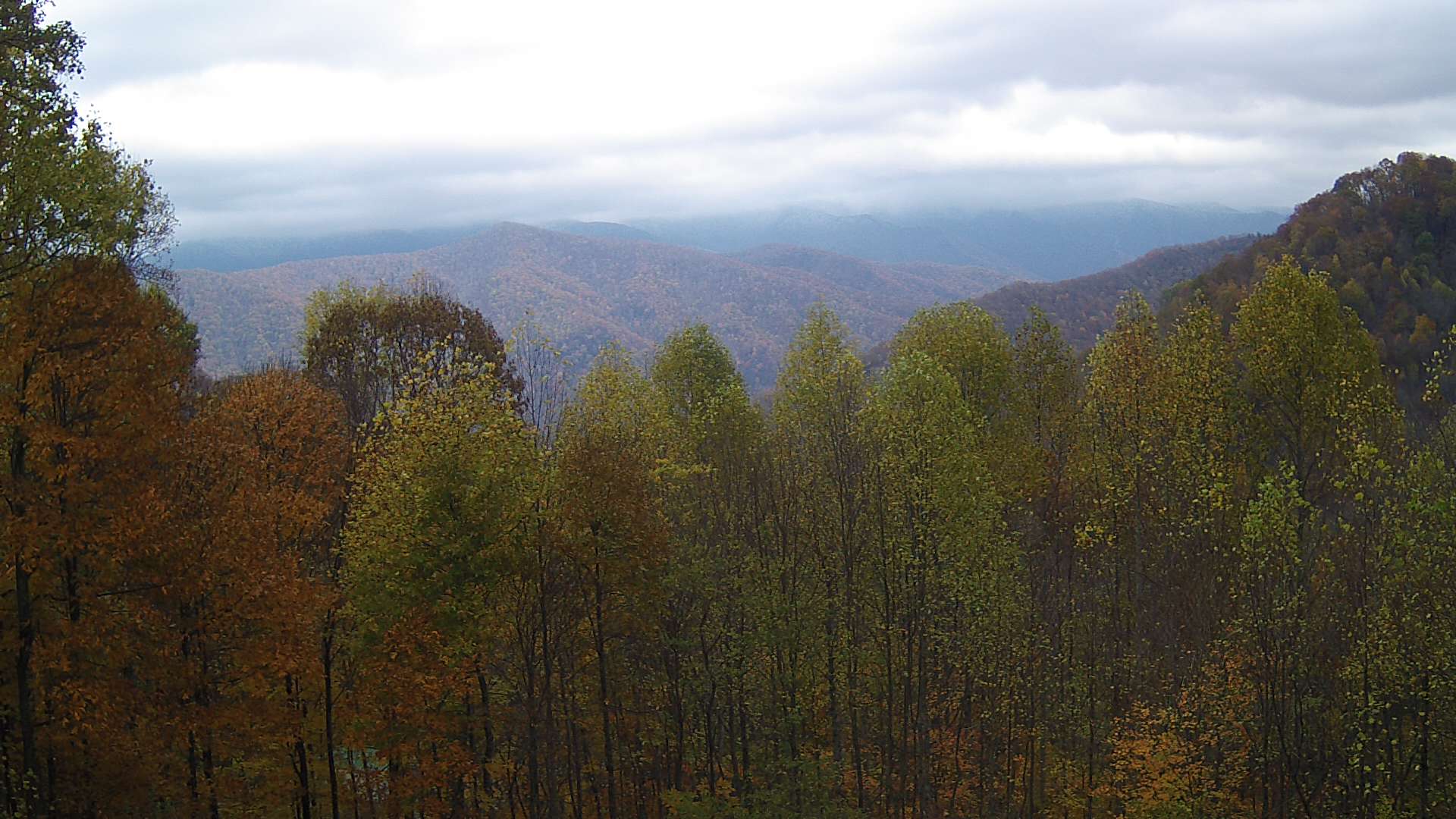 click for next image... slideshow image