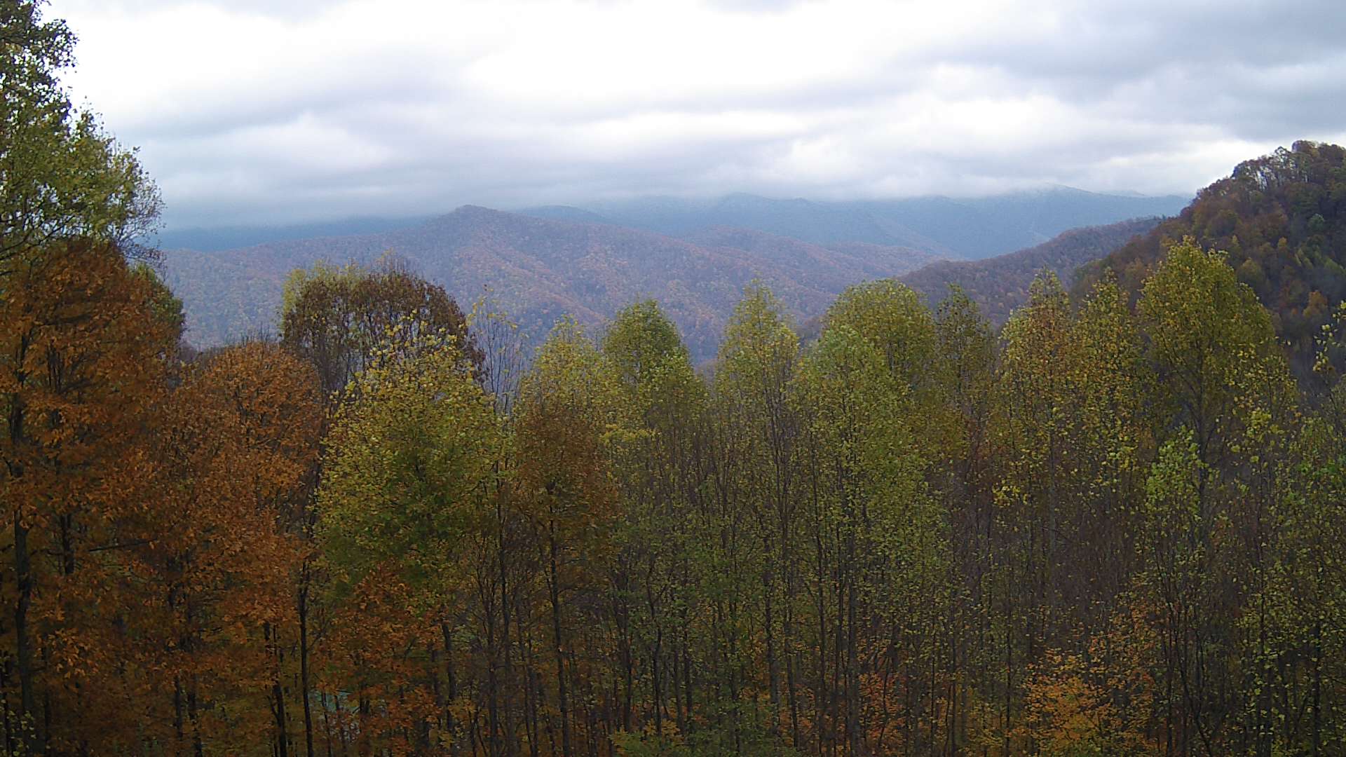 click for next image... slideshow image