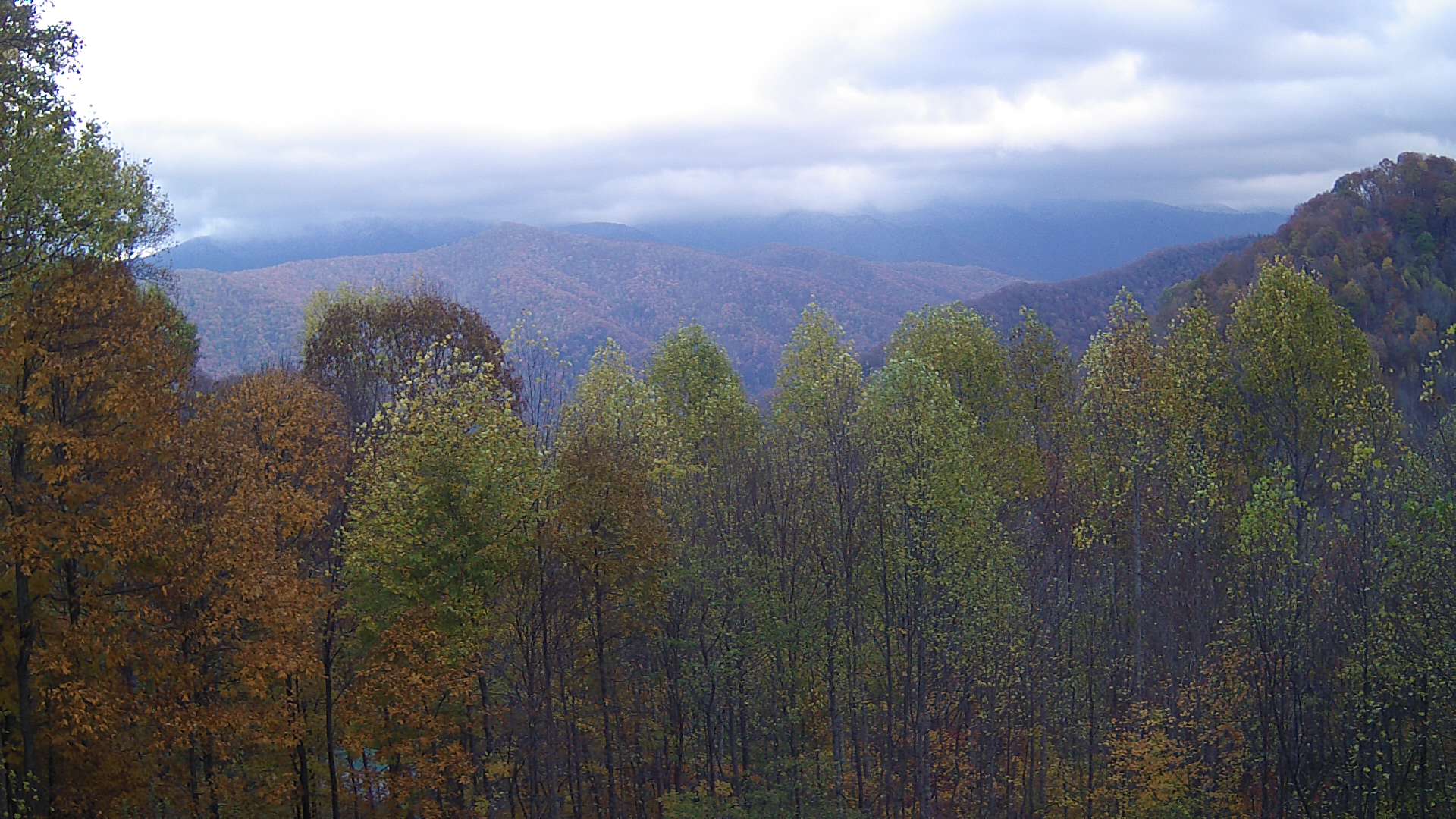 click for next image... slideshow image