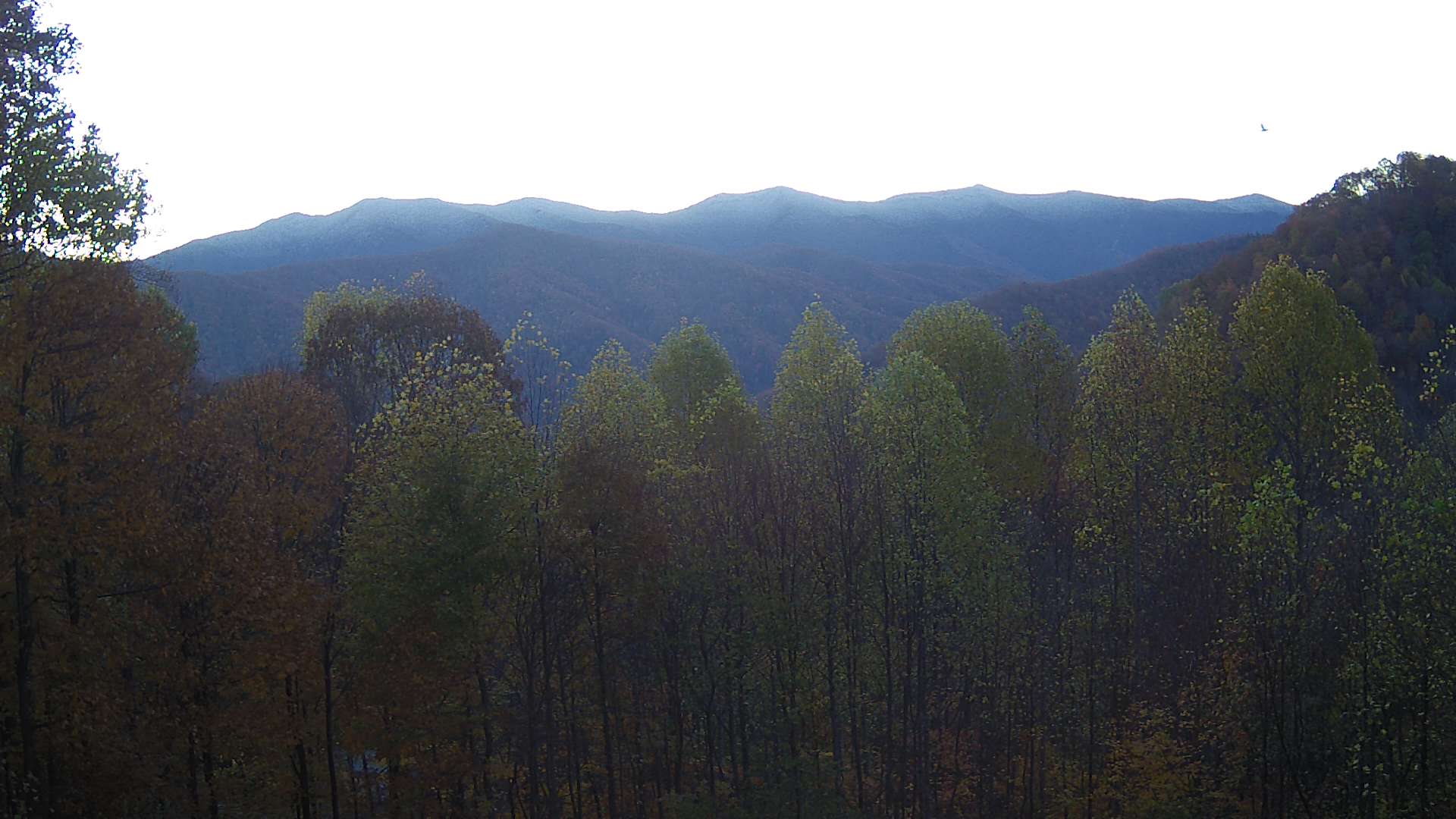 click for next image... slideshow image