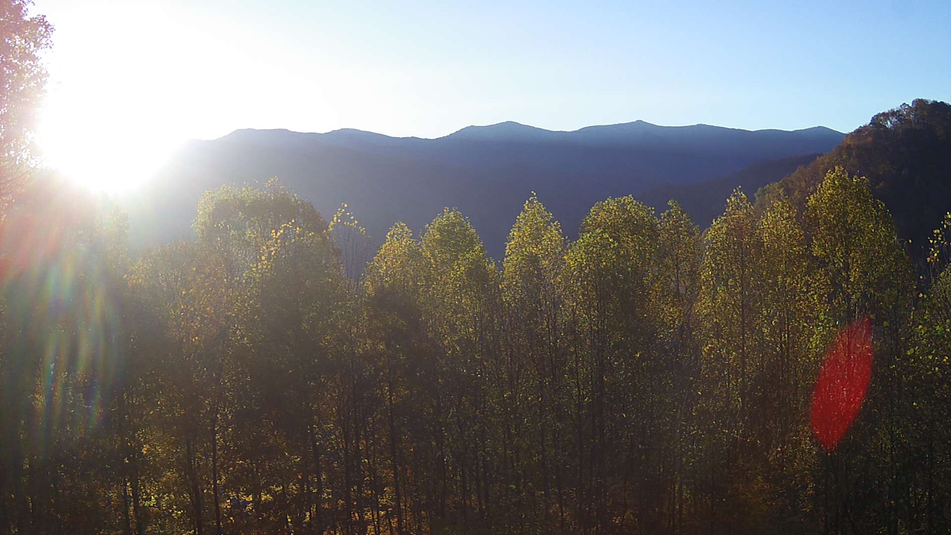 click for next image... slideshow image