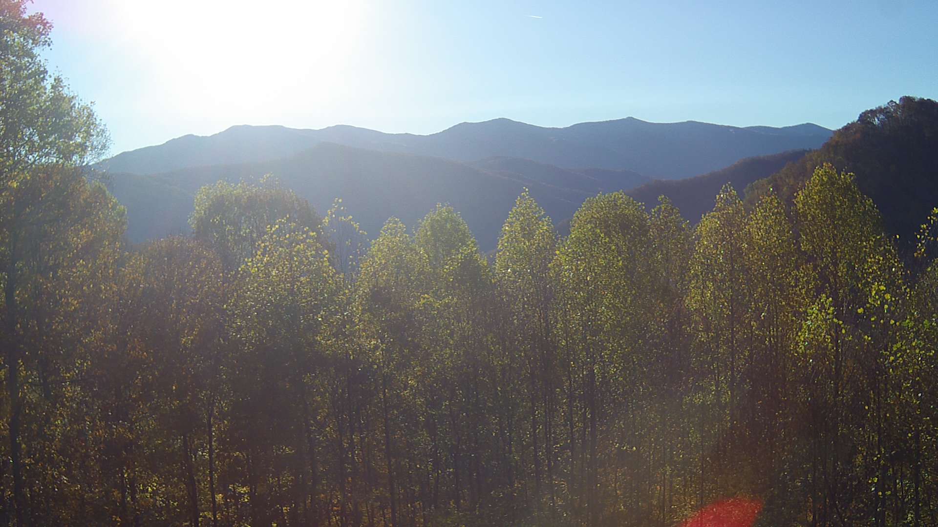 click for next image... slideshow image