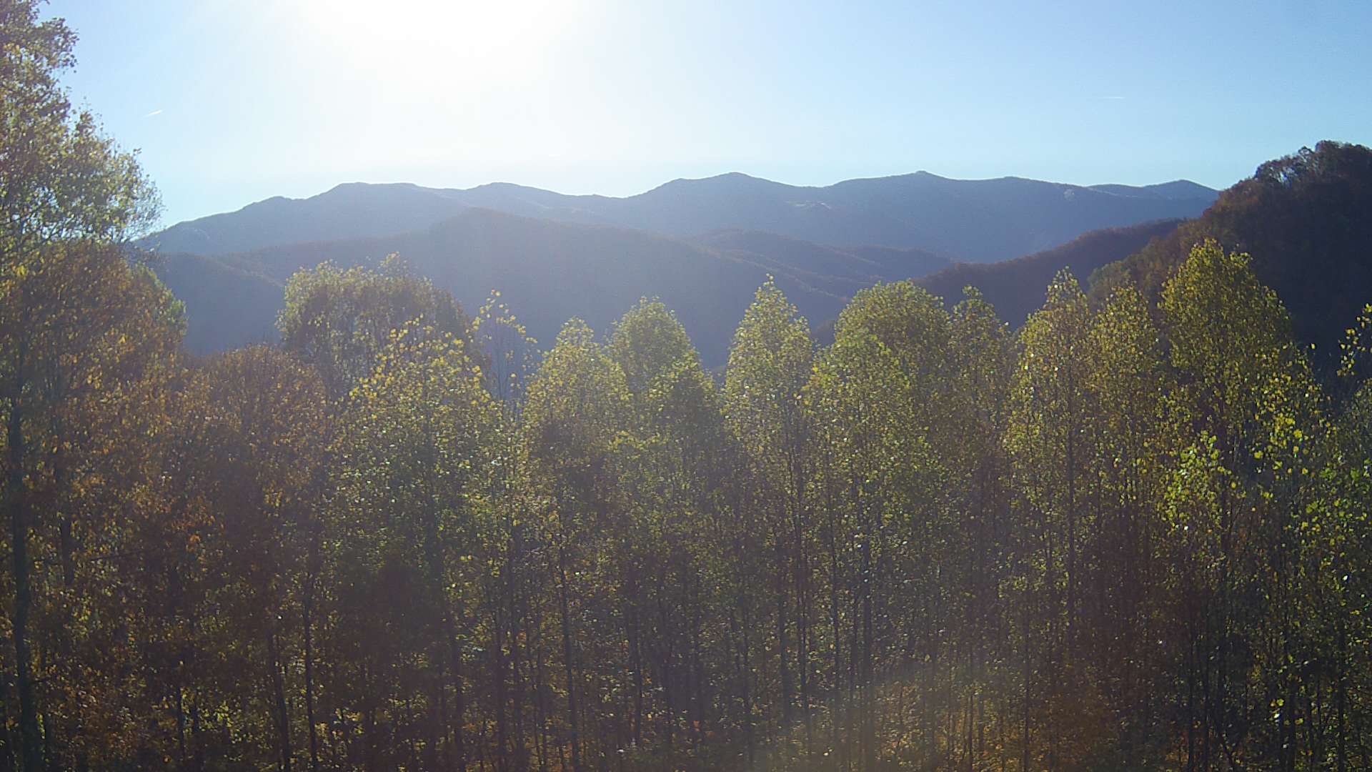 click for next image... slideshow image