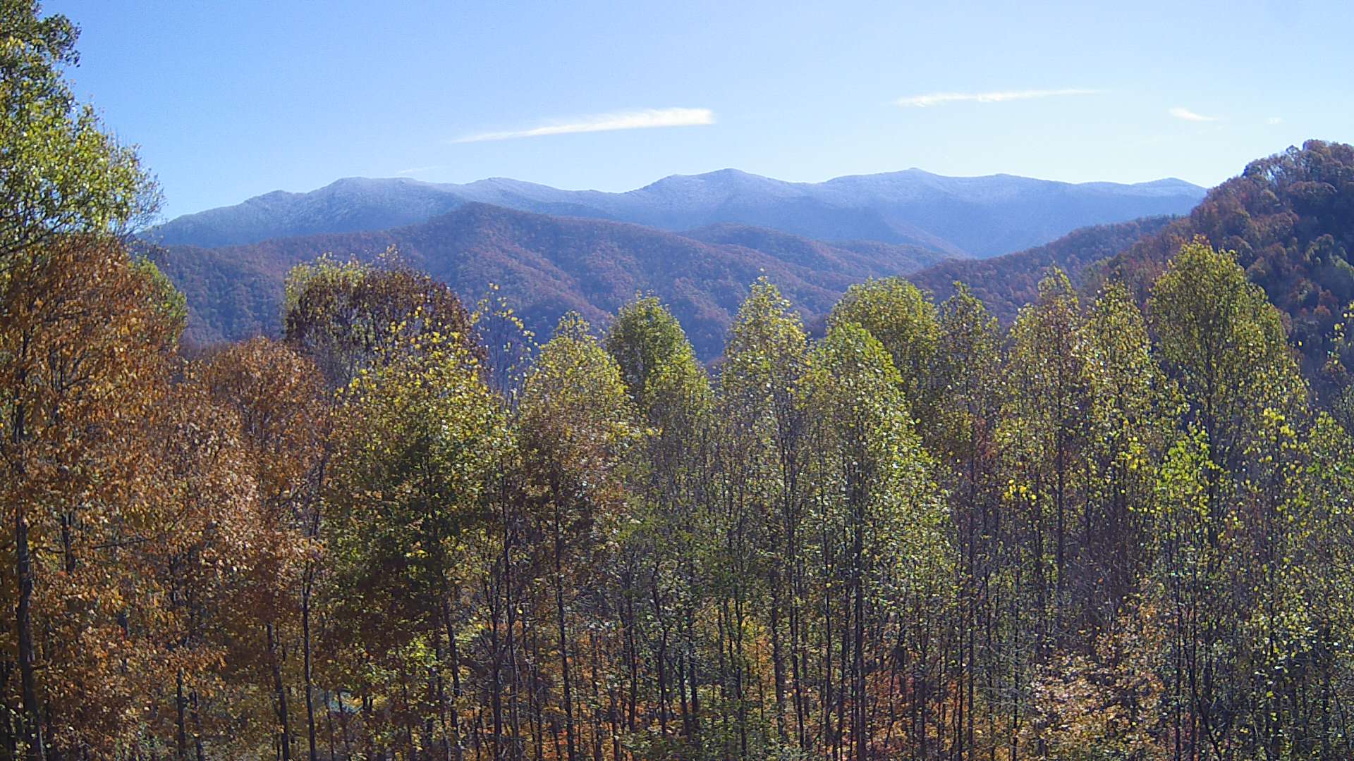 click for next image... slideshow image