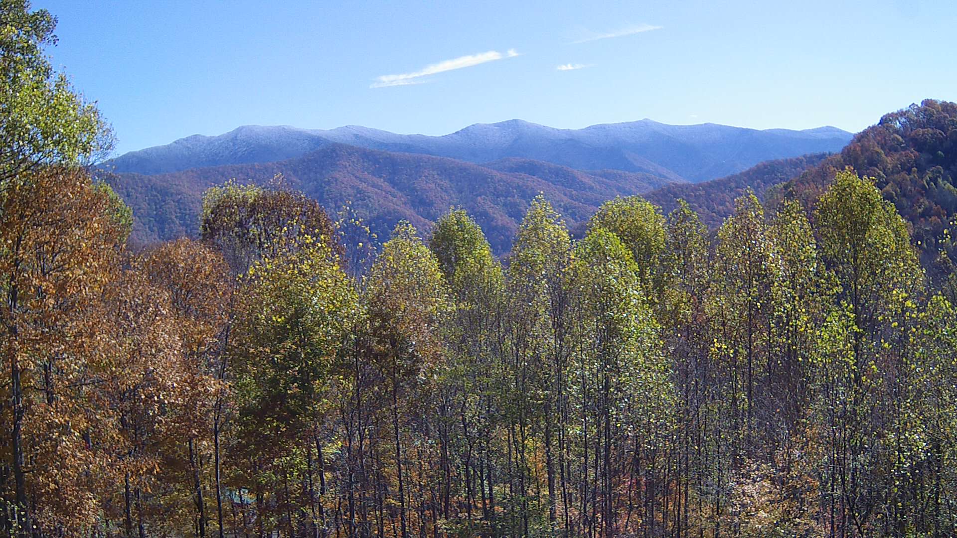 click for next image... slideshow image