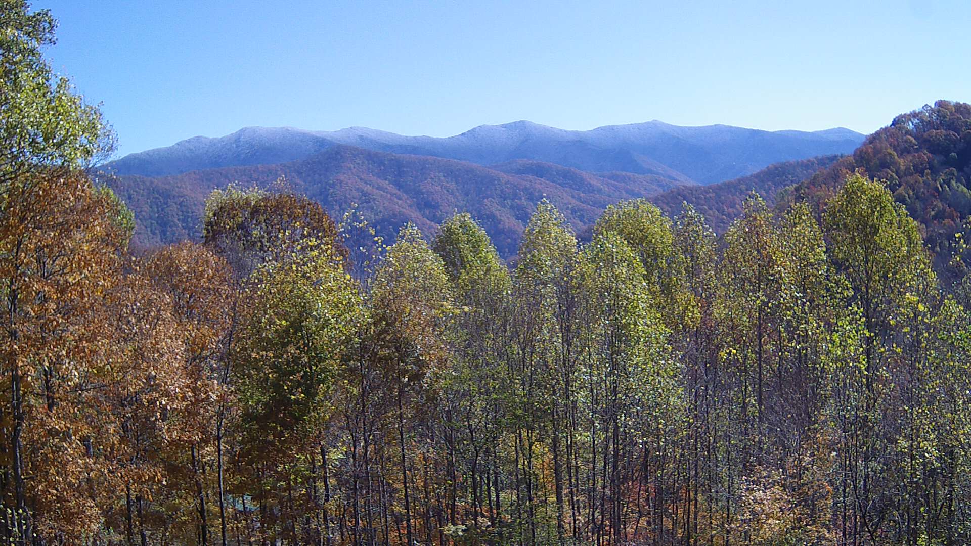 click for next image... slideshow image