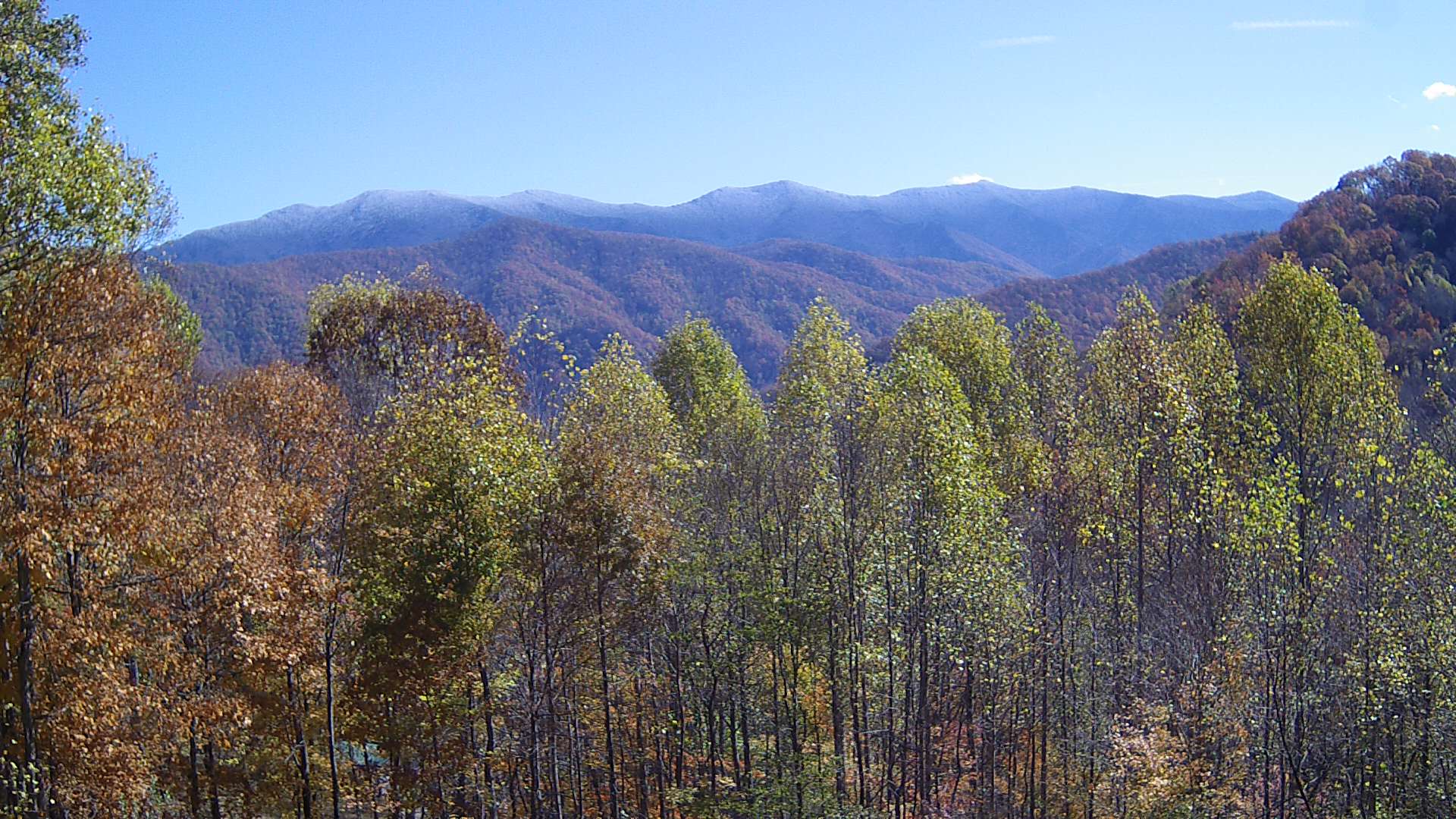 click for next image... slideshow image