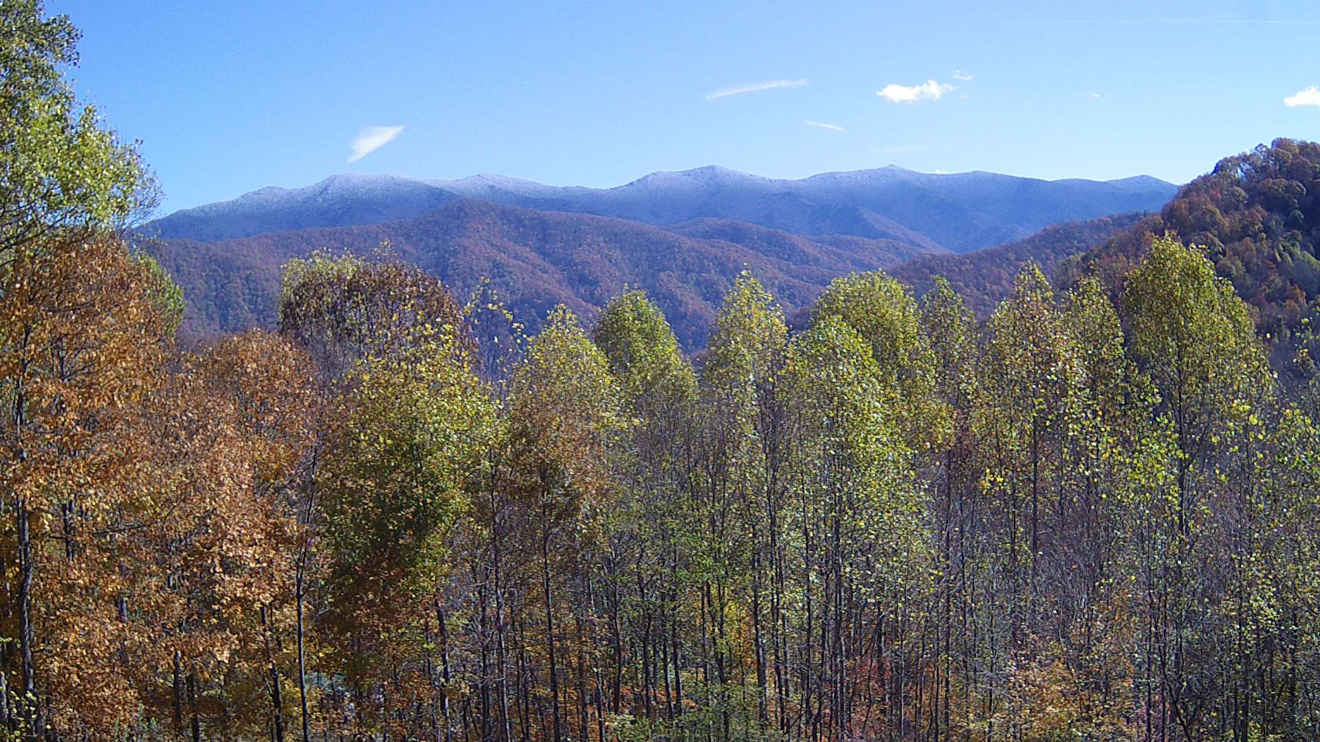 click for next image... slideshow image