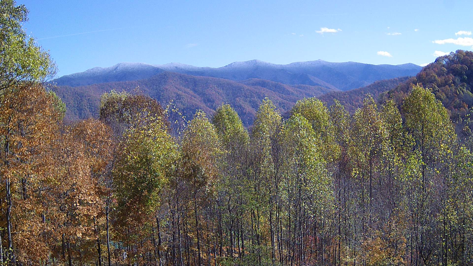 click for next image... slideshow image