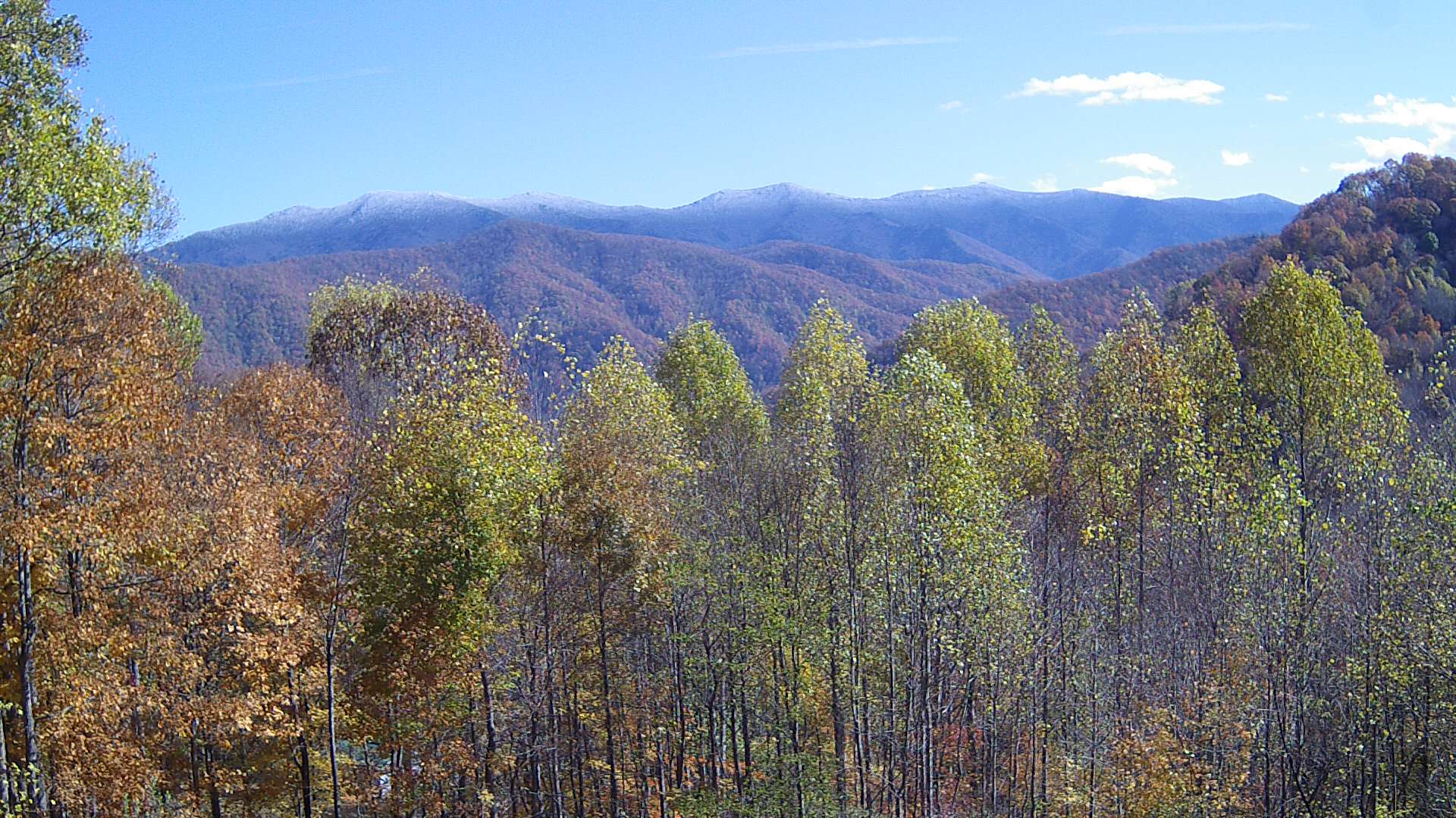 click for next image... slideshow image