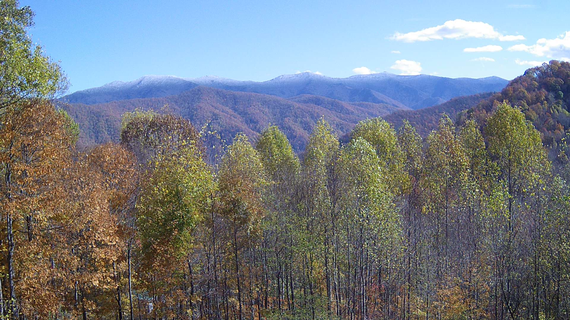 click for next image... slideshow image