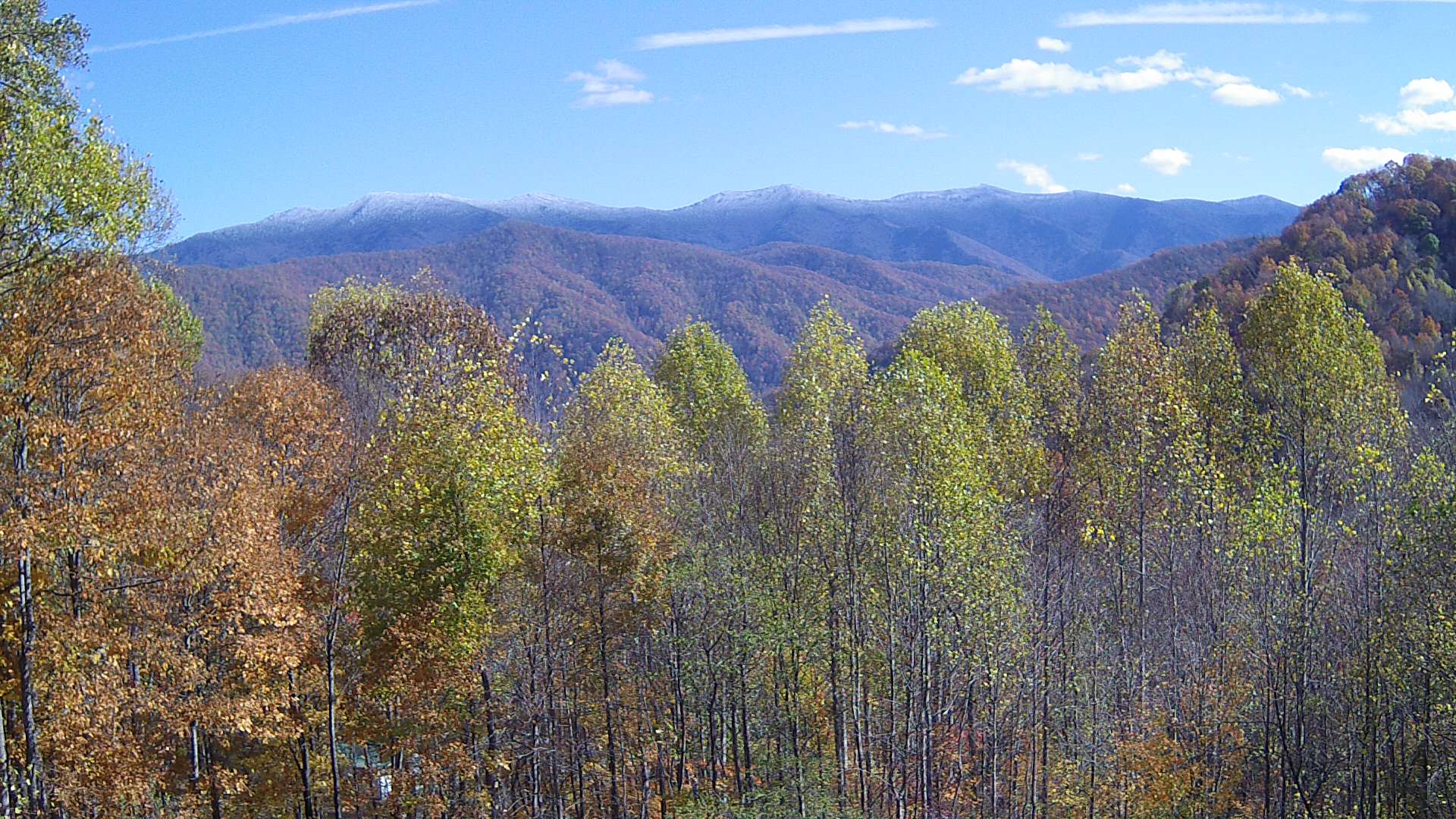 click for next image... slideshow image