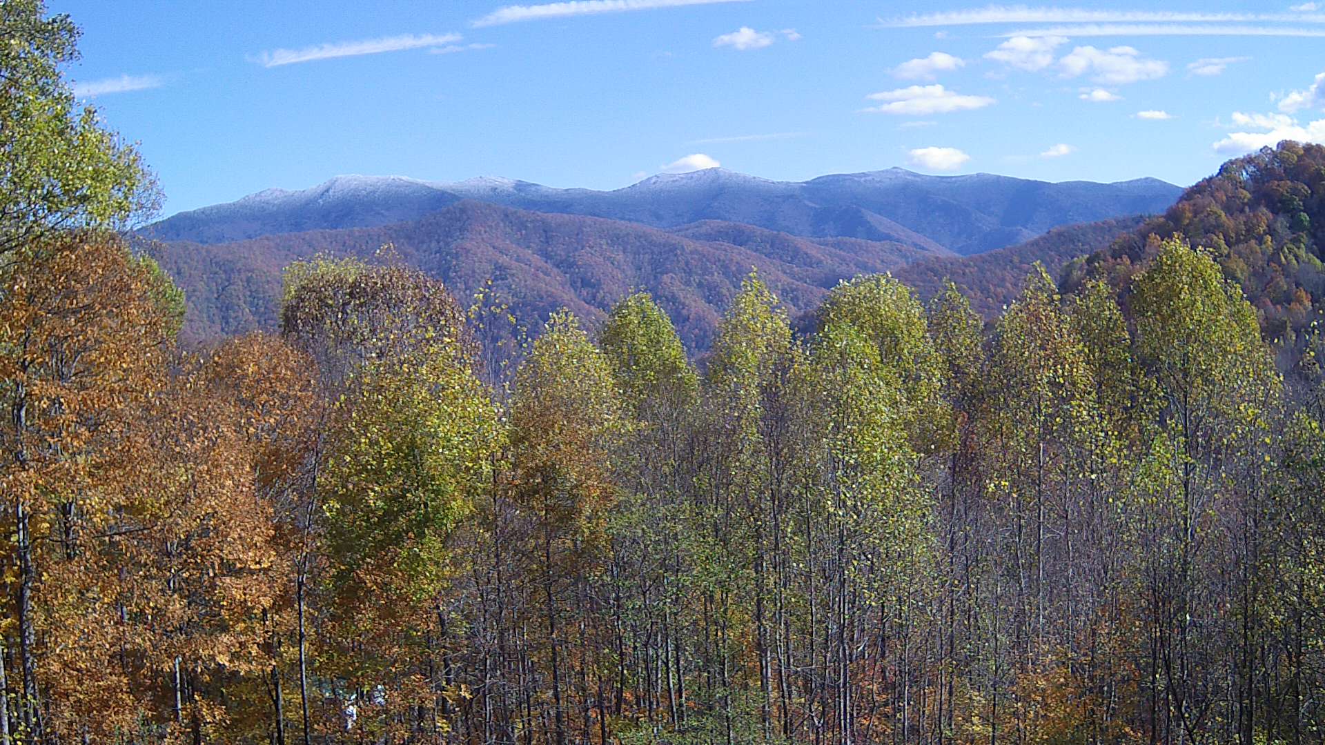 click for next image... slideshow image