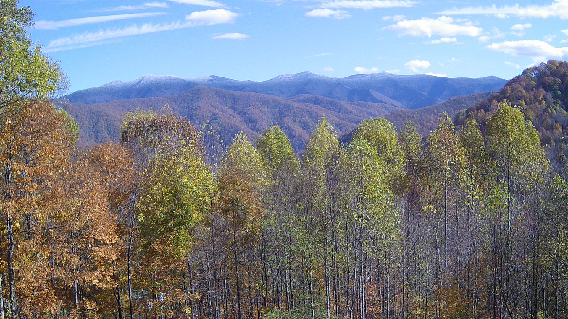 click for next image... slideshow image