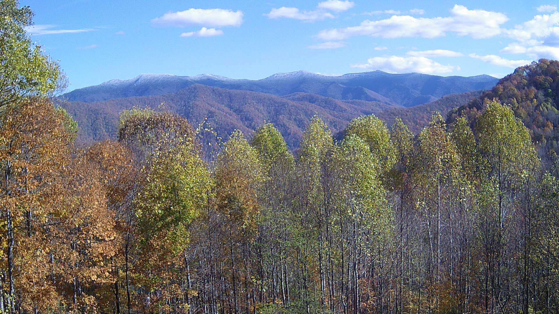 click for next image... slideshow image