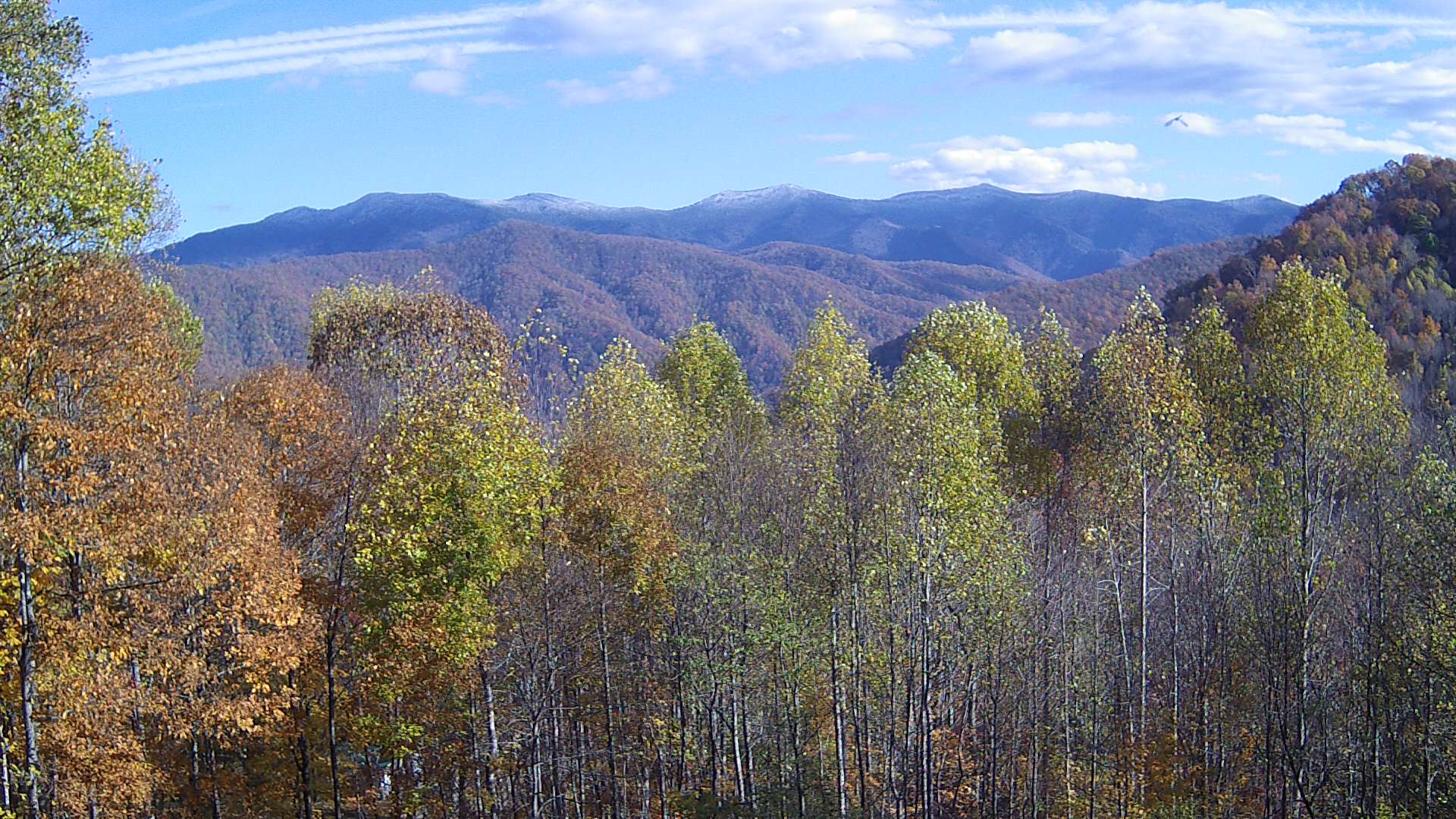 click for next image... slideshow image