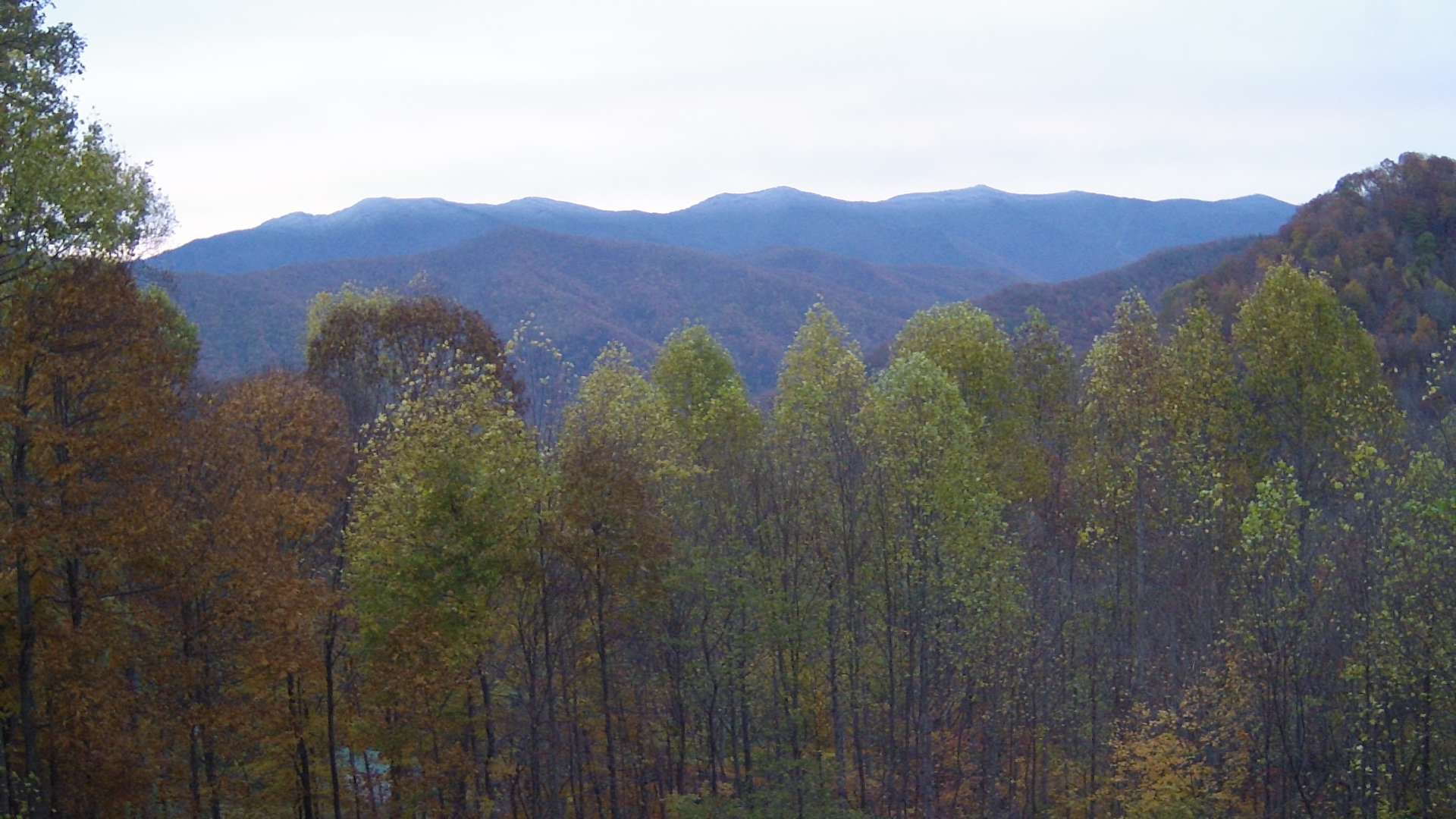 click for next image... slideshow image