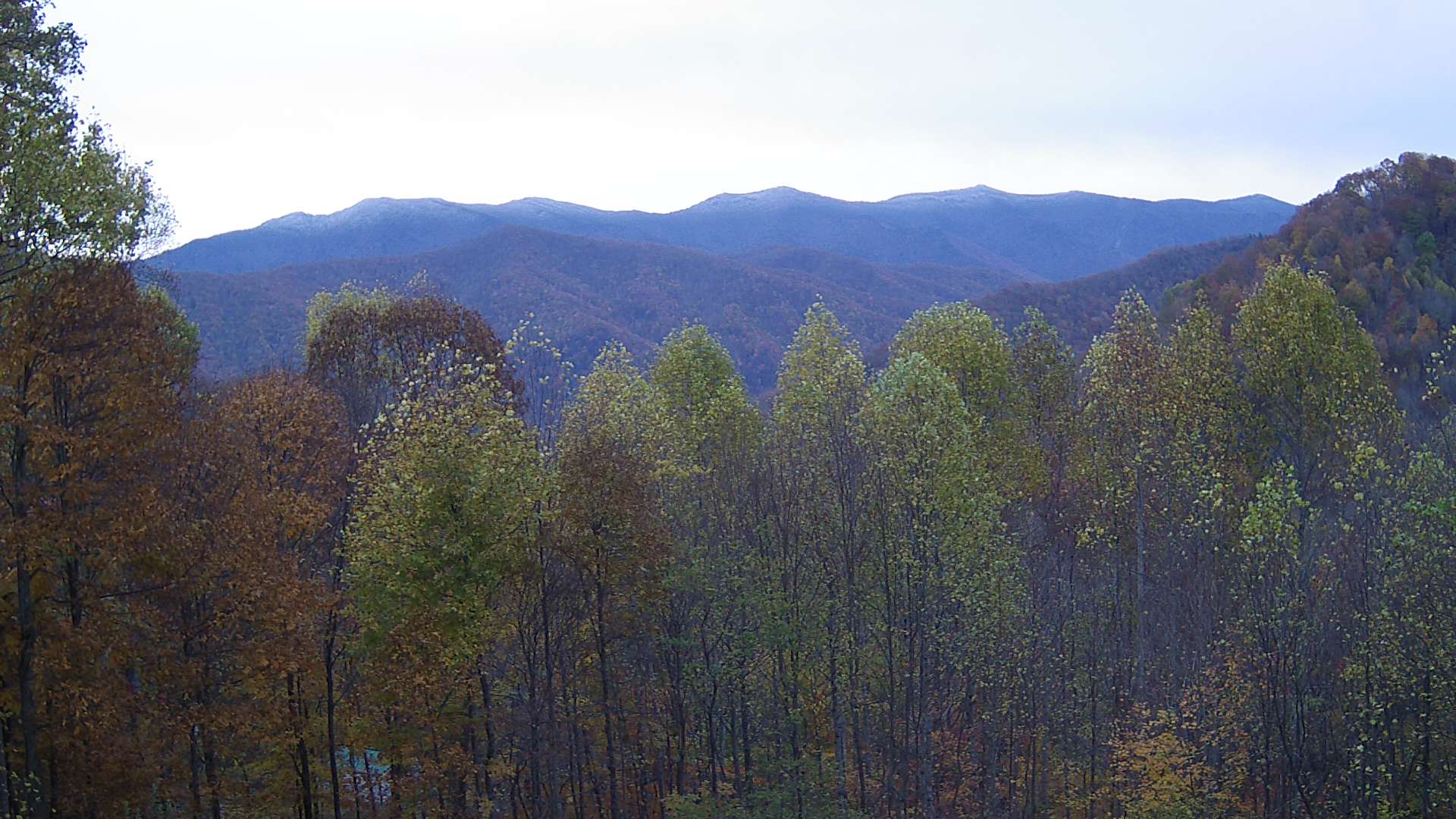 click for next image... slideshow image