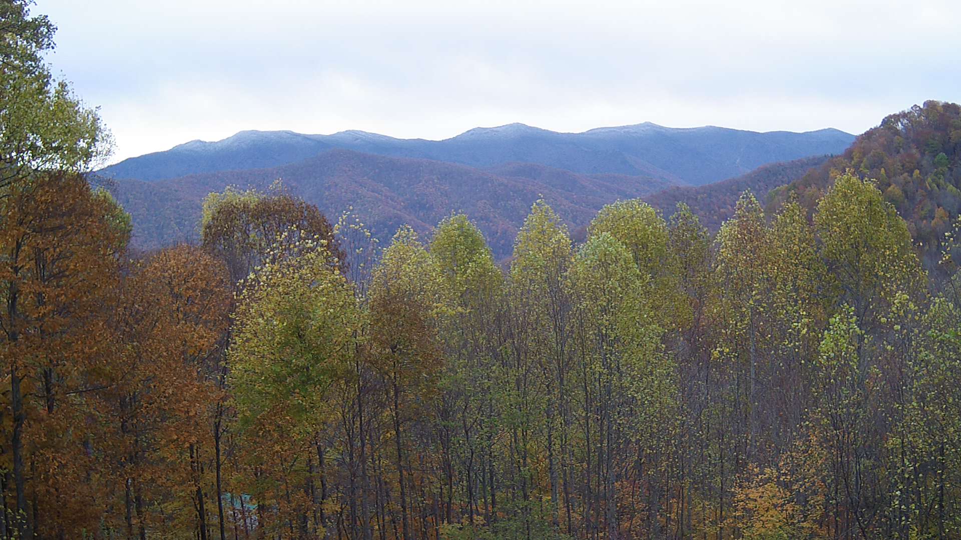 click for next image... slideshow image