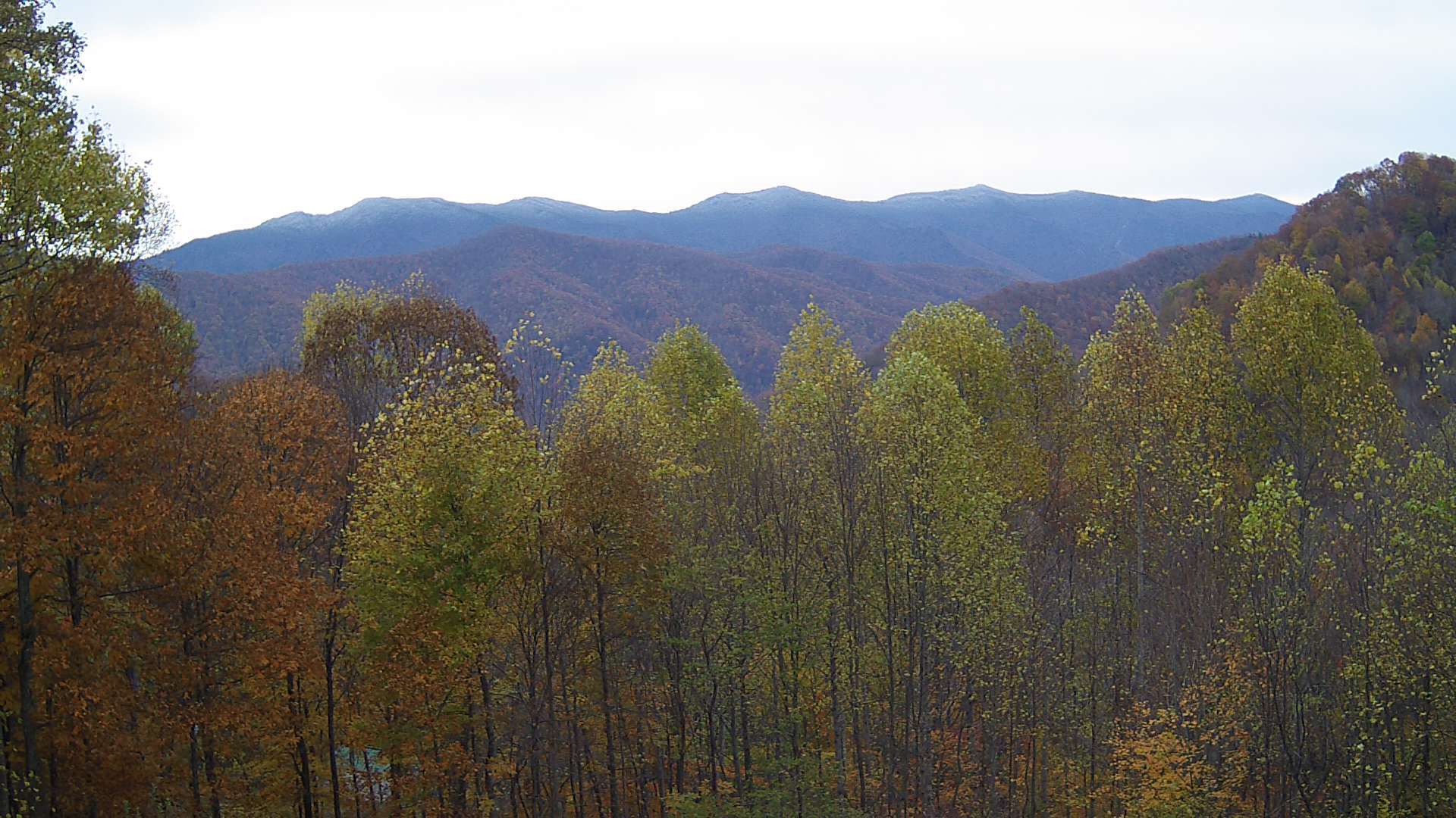 click for next image... slideshow image