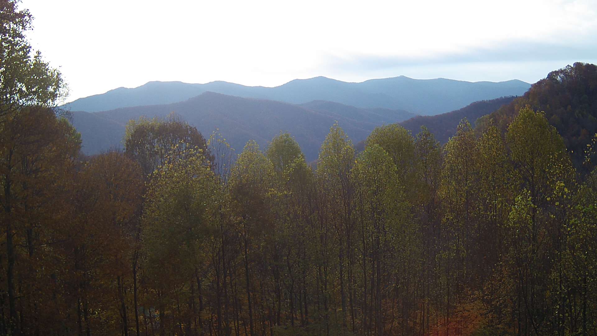 click for next image... slideshow image