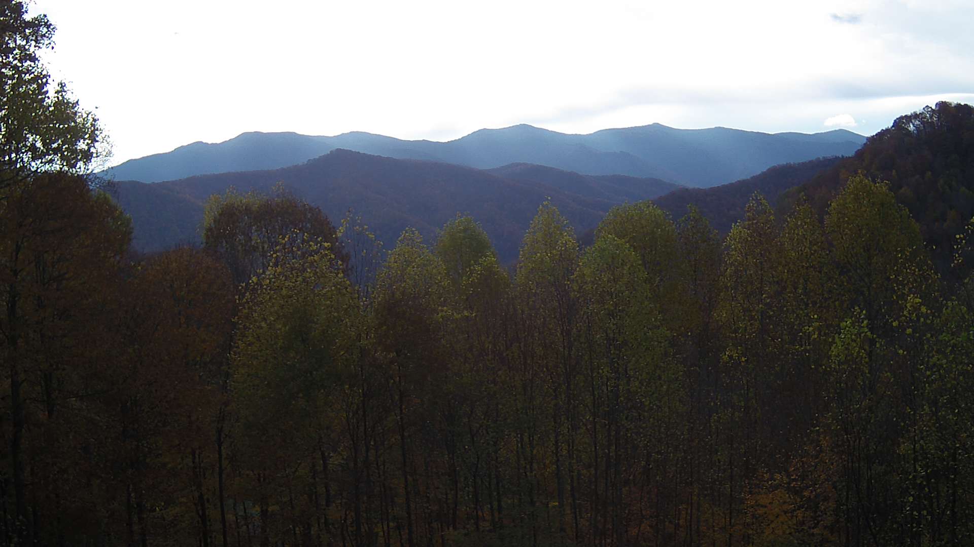 click for next image... slideshow image