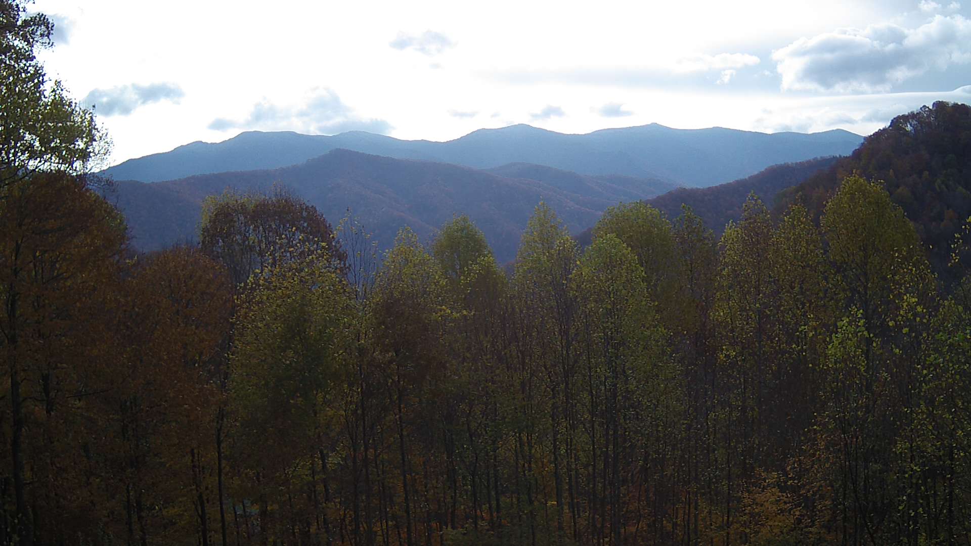 click for next image... slideshow image