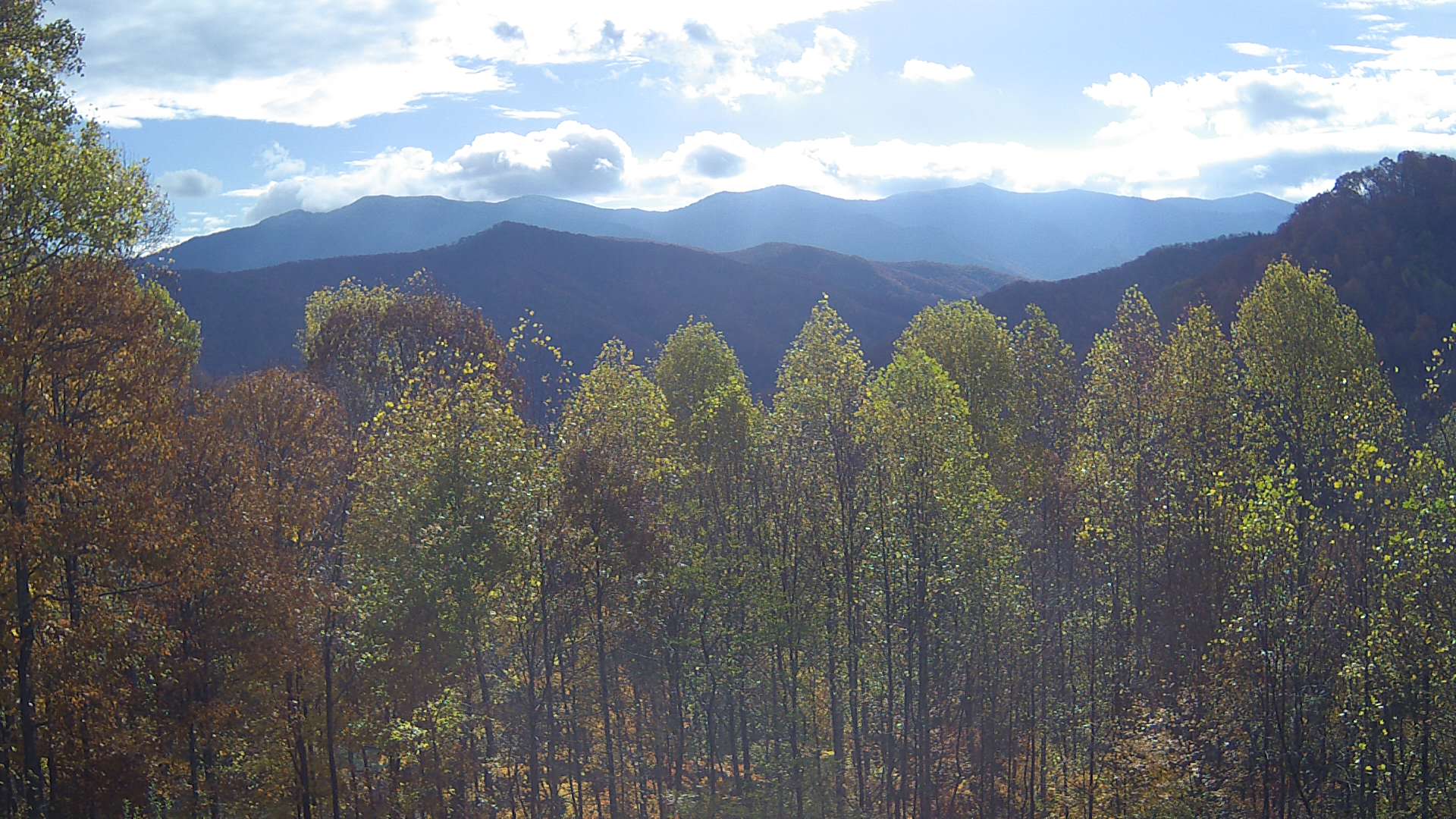 click for next image... slideshow image