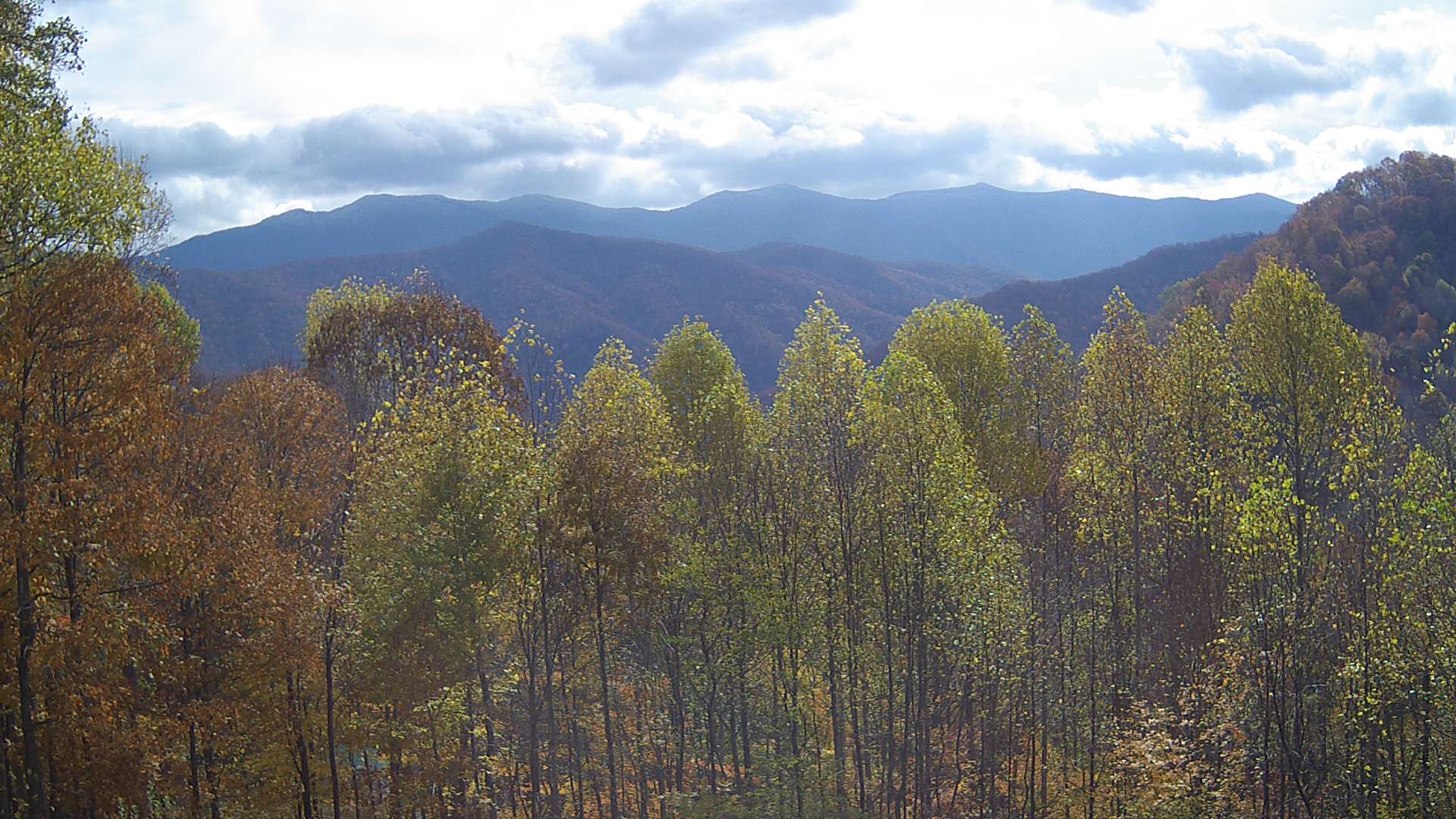 click for next image... slideshow image