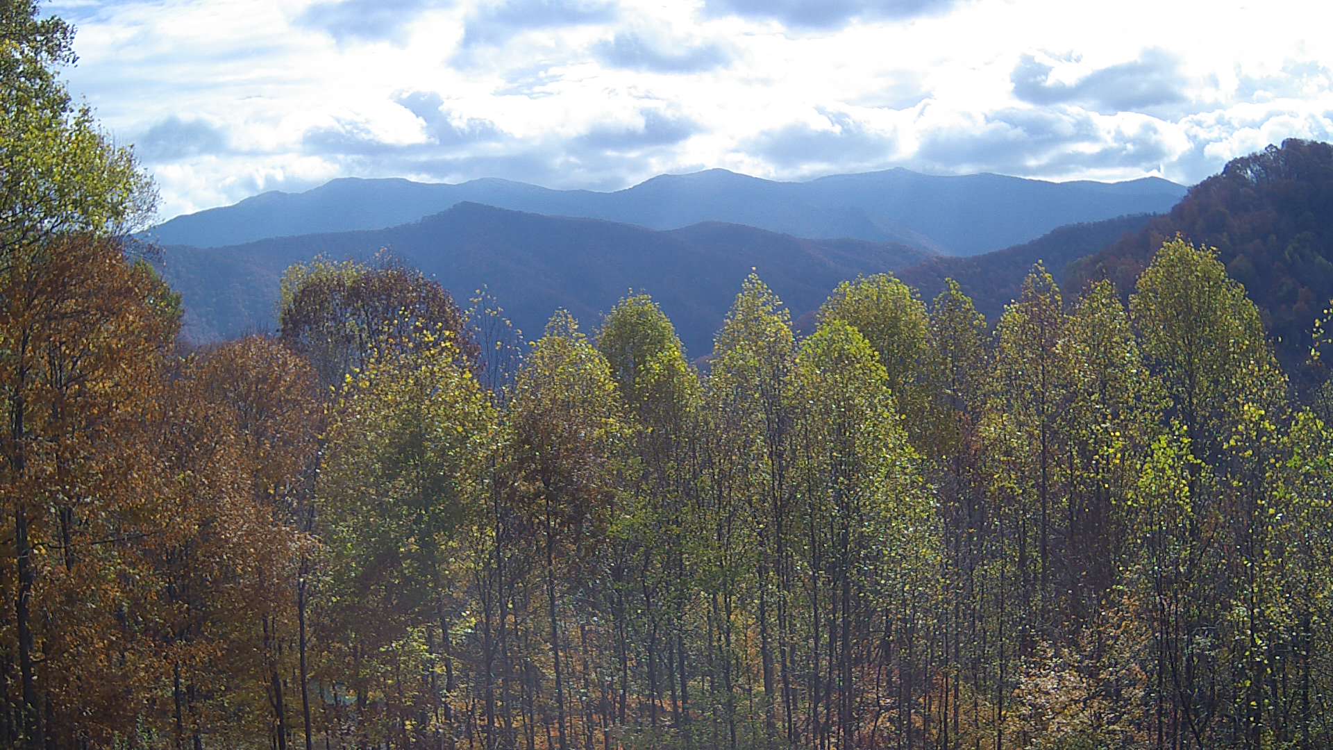 click for next image... slideshow image