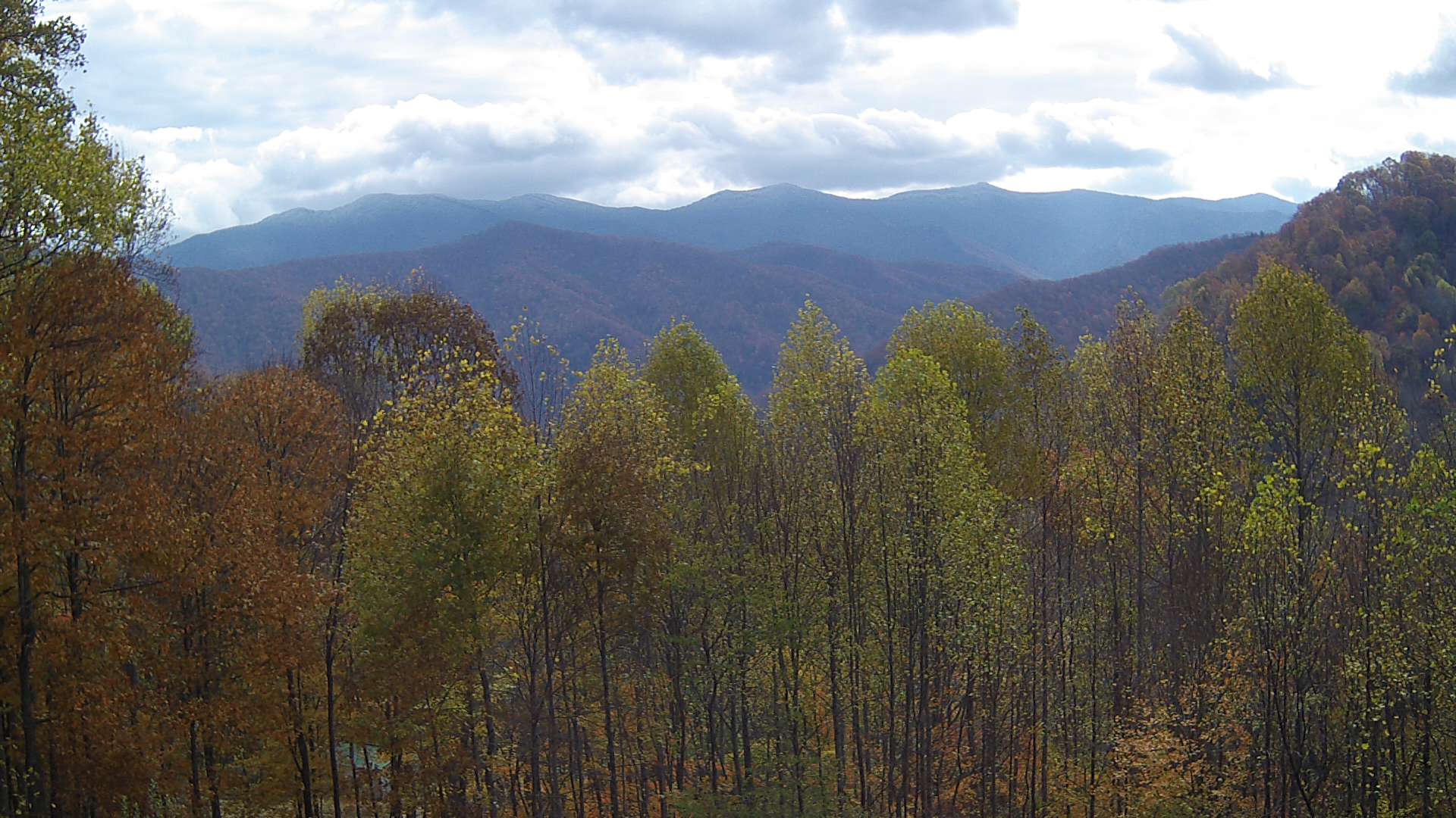 click for next image... slideshow image