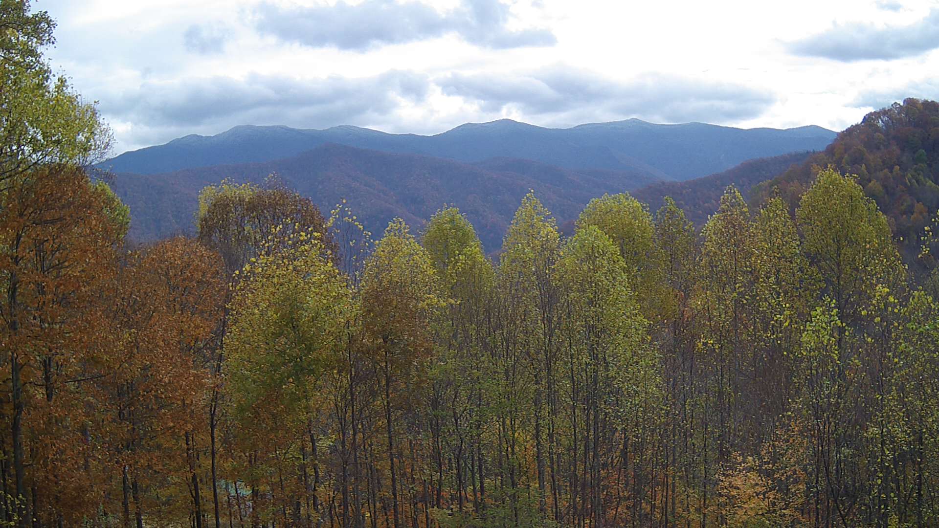 click for next image... slideshow image