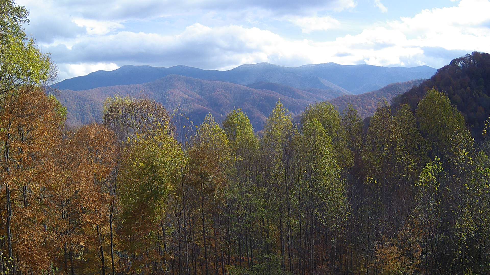 click for next image... slideshow image