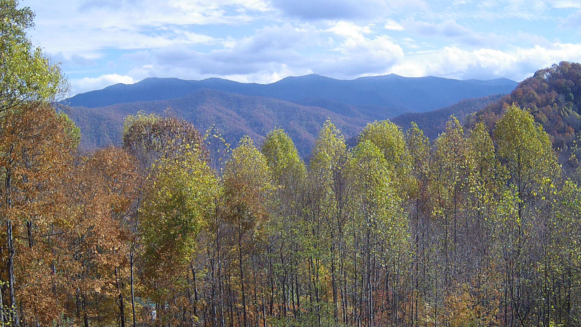 click for next image... slideshow image