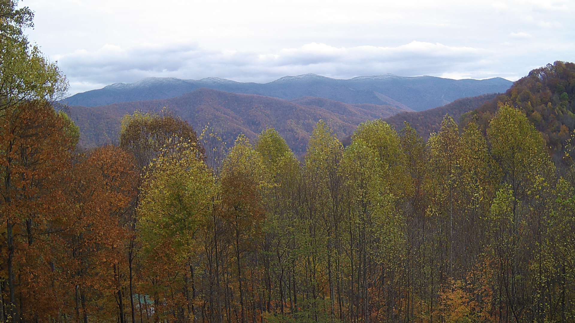 click for next image... slideshow image