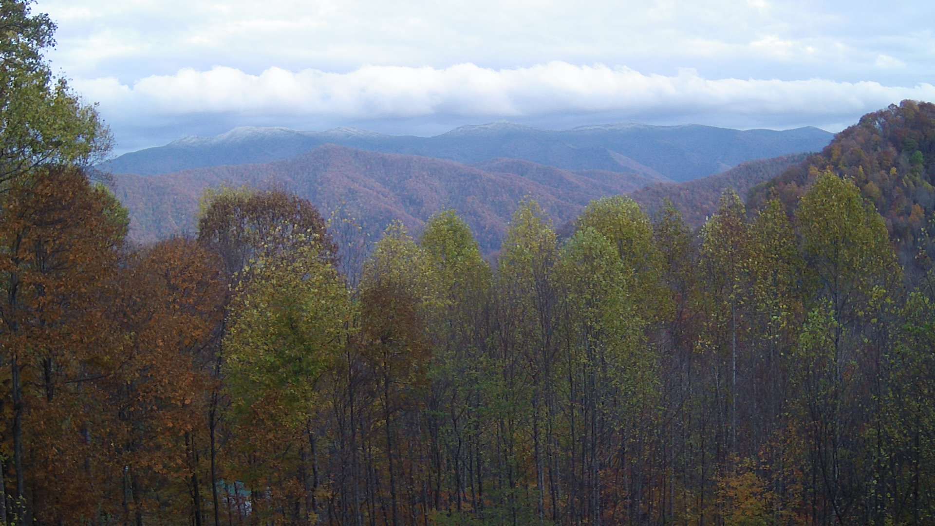 click for next image... slideshow image